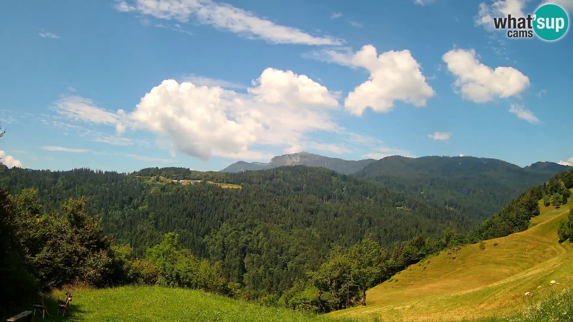 Webcam Brunarica Dražgoše – Live View of Ratitovec (1666 m)