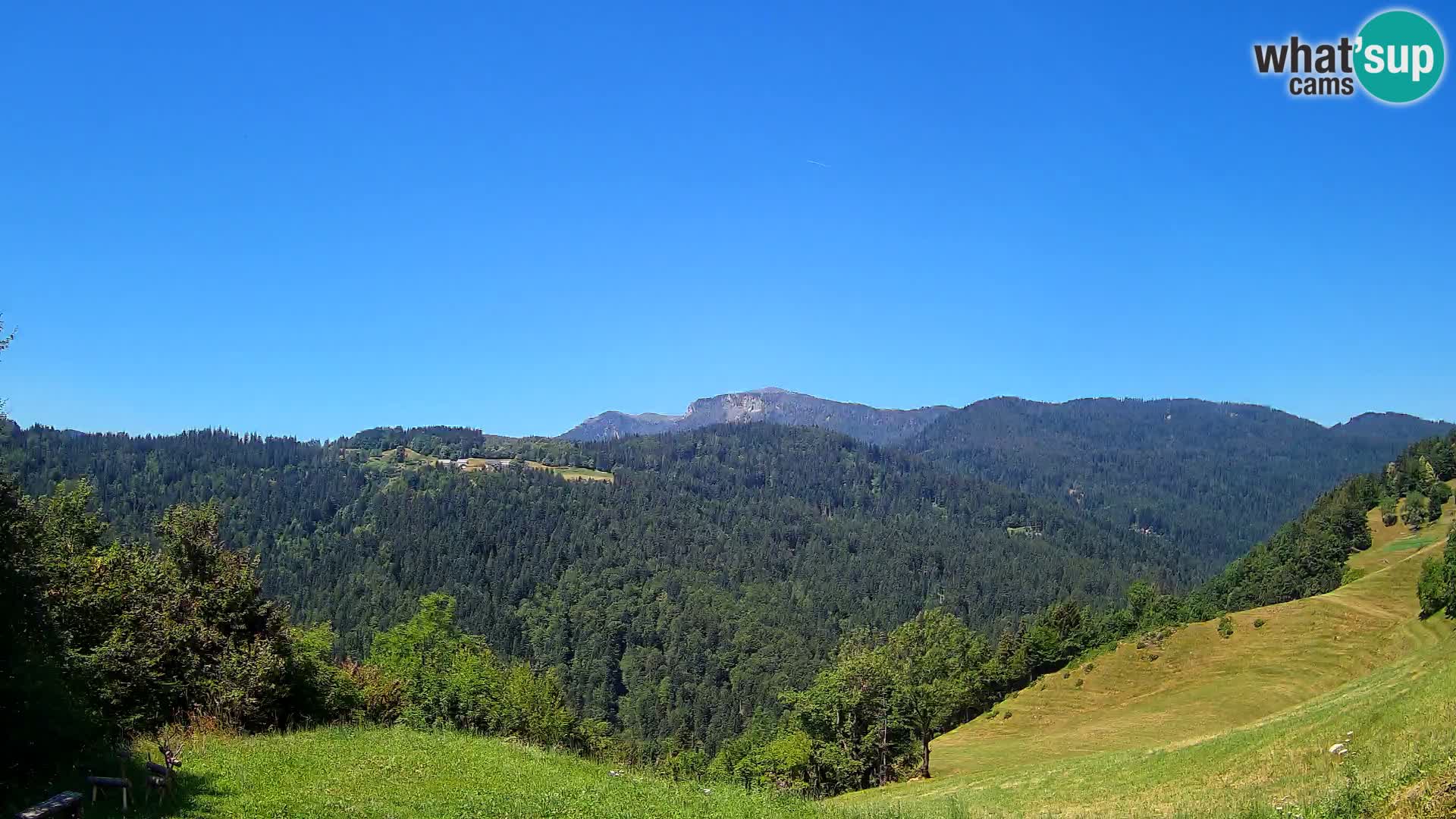 Webcam Brunarica Dražgoše – Live View of Ratitovec (1666 m)