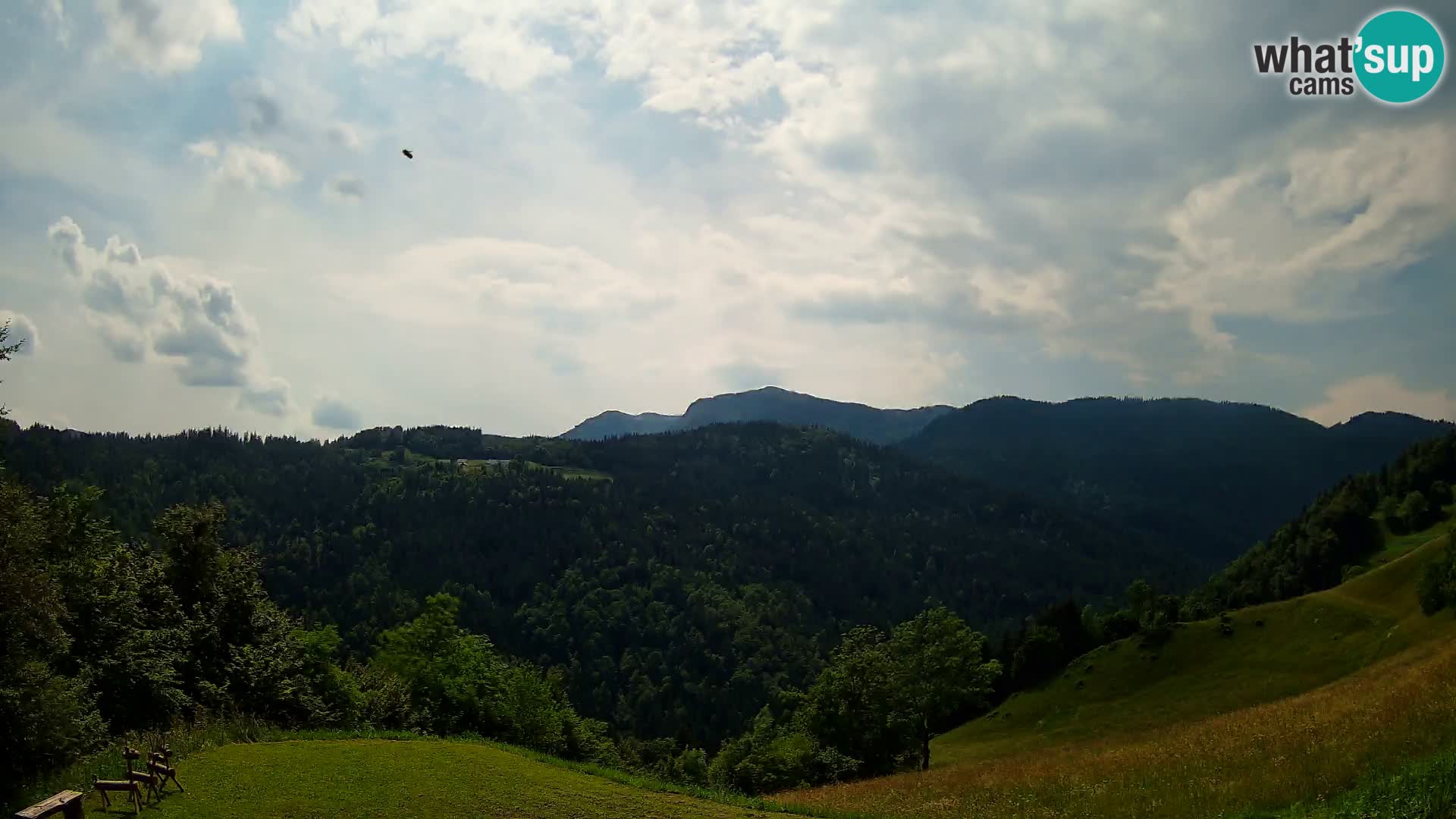 Webcam Brunarica Dražgoše – Live View of Ratitovec (1666 m)