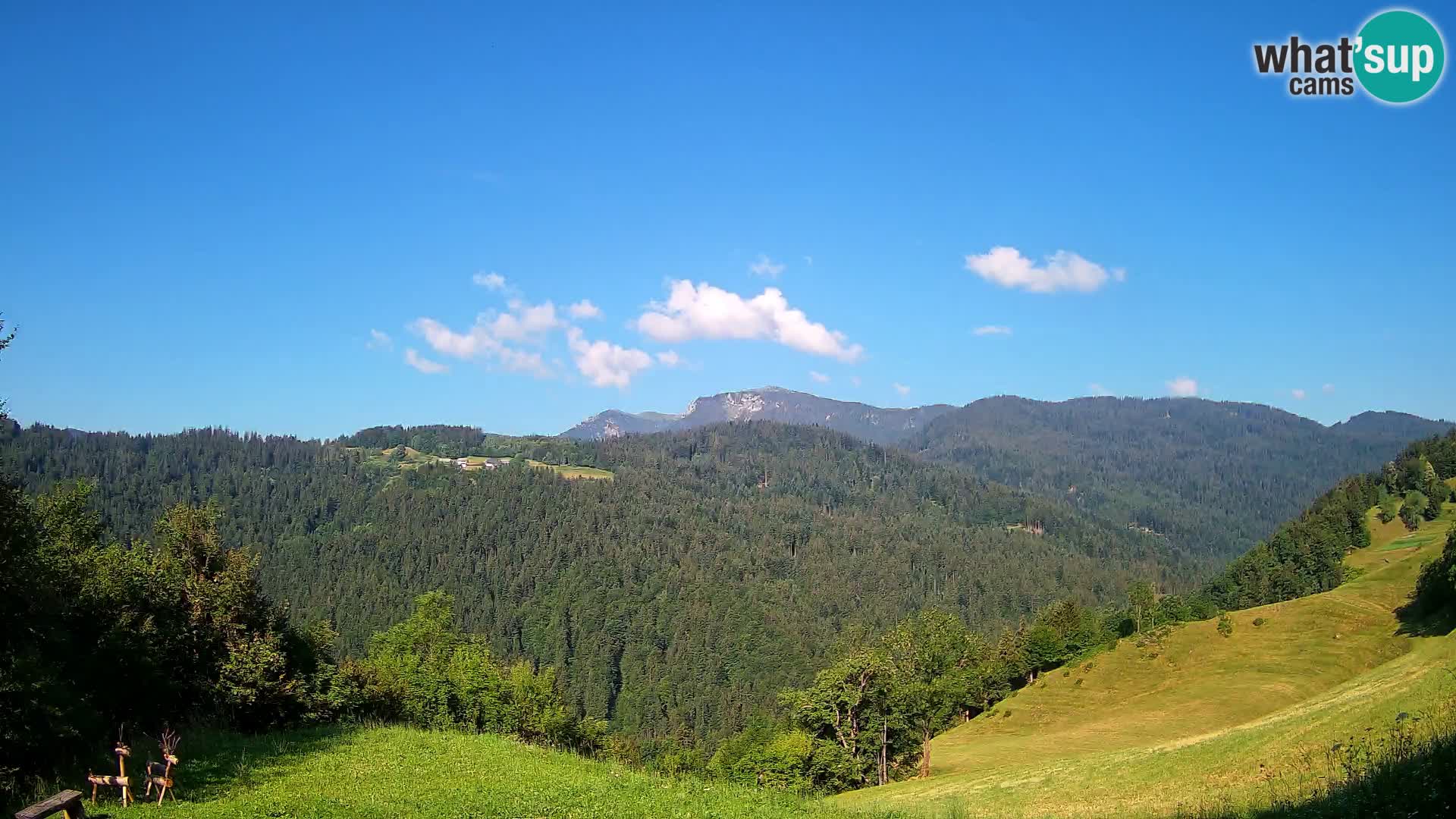 Webcam Brunarica Dražgoše – Live View of Ratitovec (1666 m)