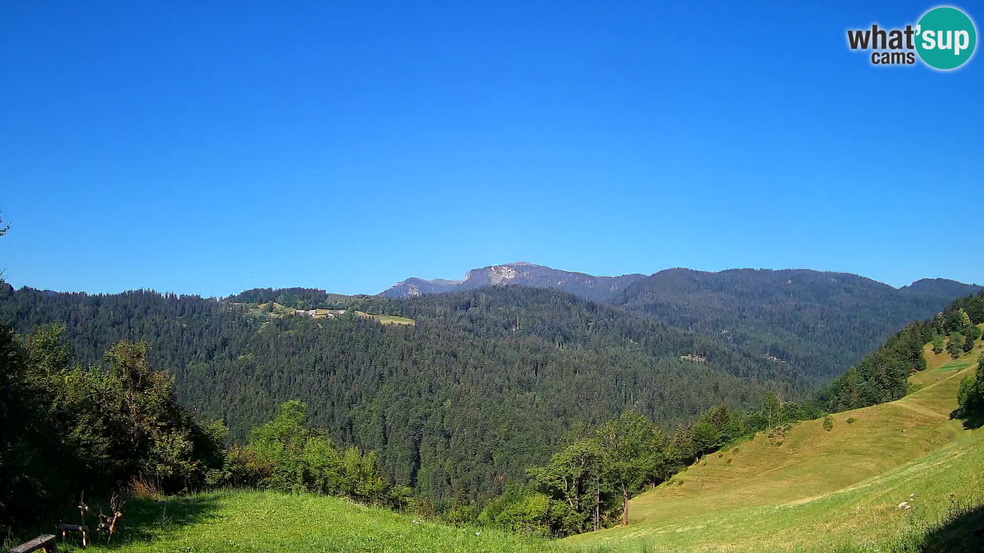 Webcam Brunarica Dražgoše – Live View of Ratitovec (1666 m)
