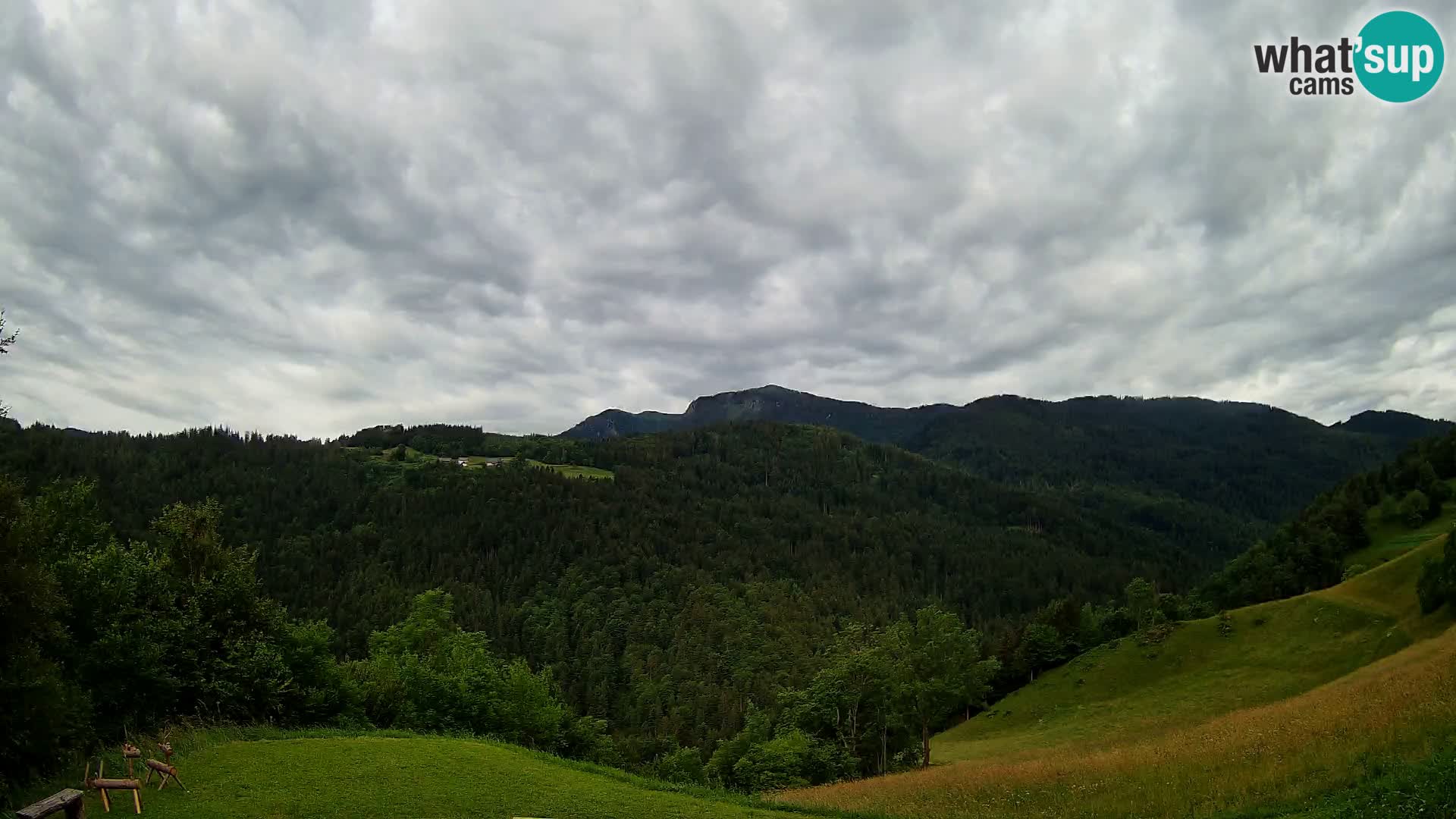 Webcam Brunarica Dražgoše – Live View of Ratitovec (1666 m)