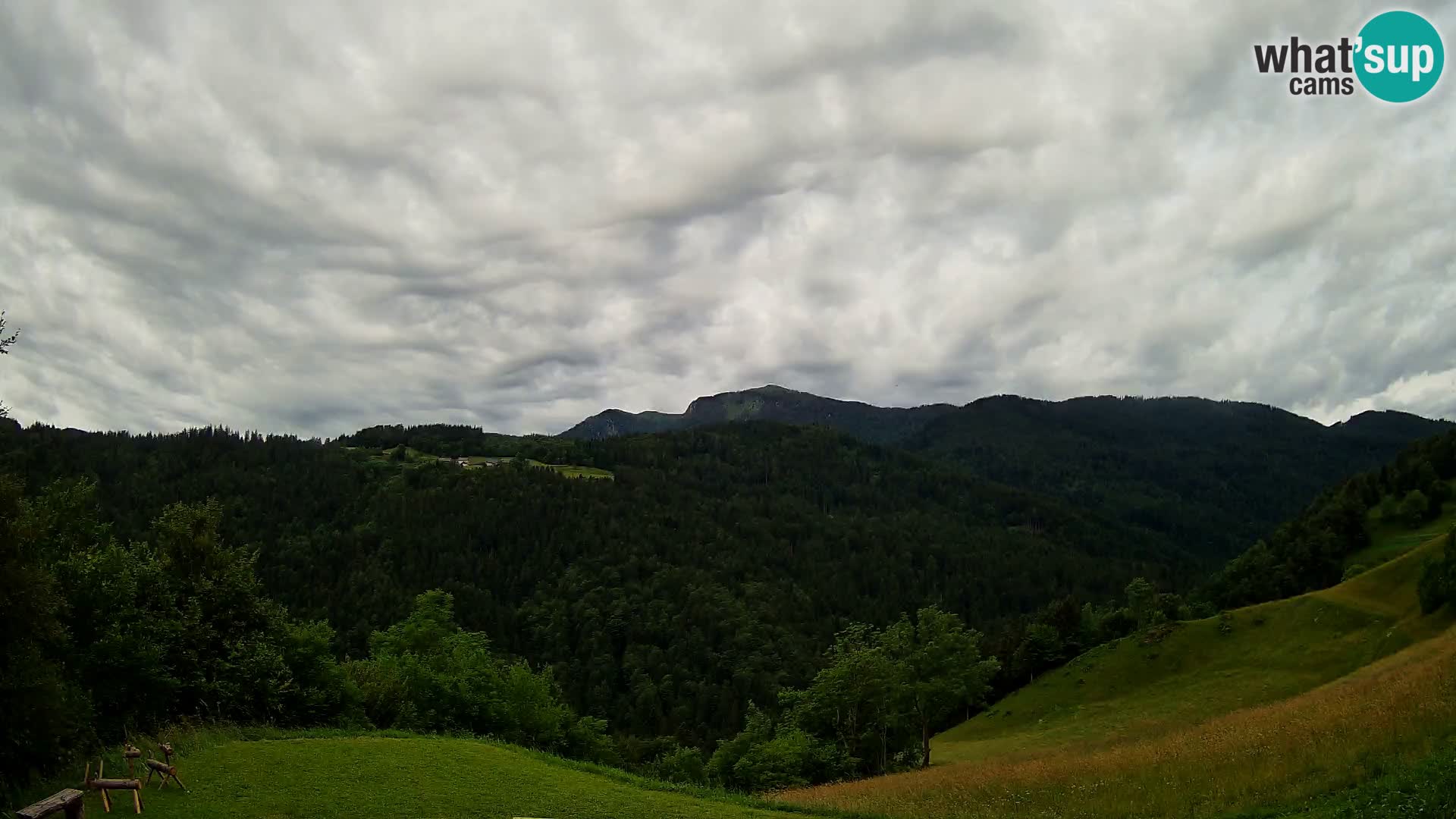 Webcam Brunarica Dražgoše – Live View of Ratitovec (1666 m)