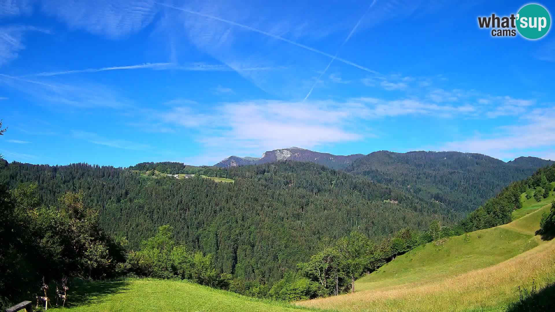 Webcam Brunarica Dražgoše – Live View of Ratitovec (1666 m)