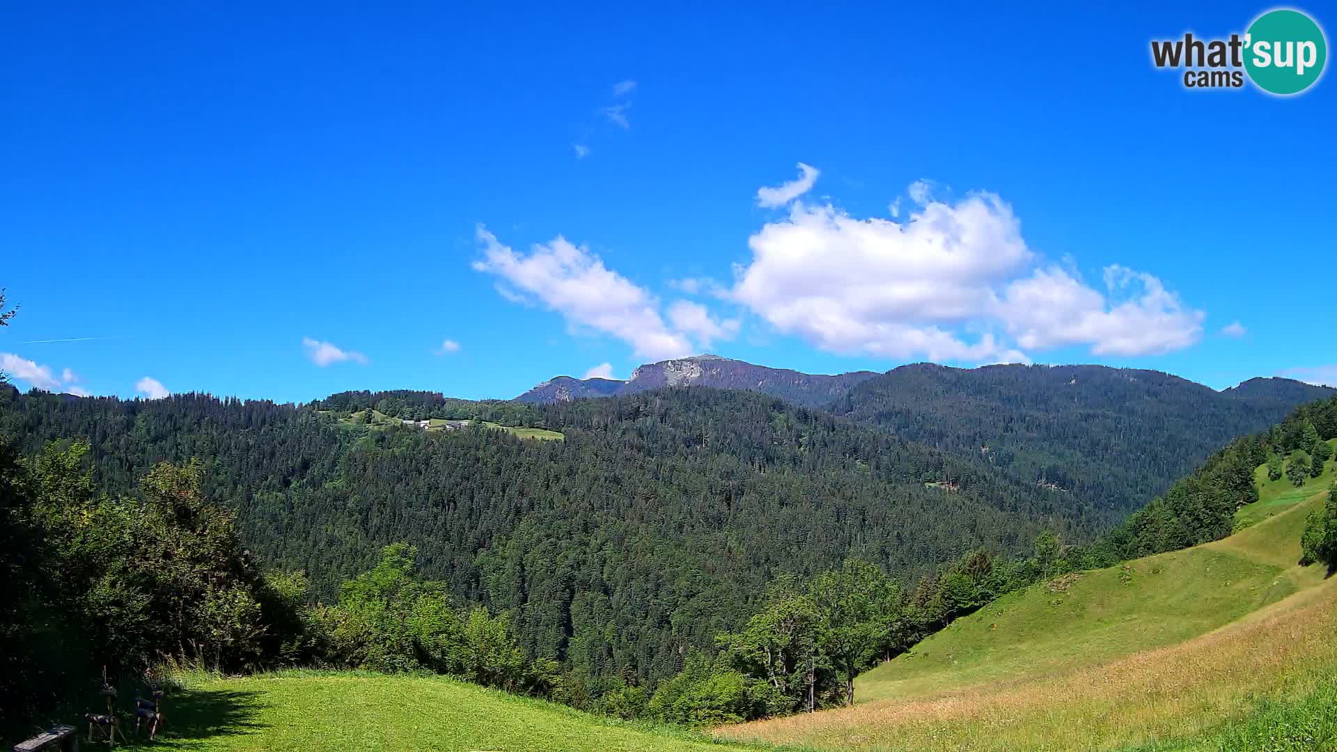 Webcam Brunarica Dražgoše – Live View of Ratitovec (1666 m)