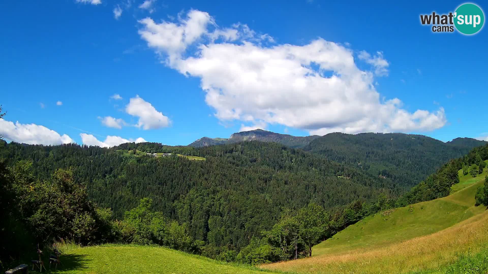 Spletna kamera Brunarica Dražgoše – Pogled v živo na Ratitovec (1666 m)