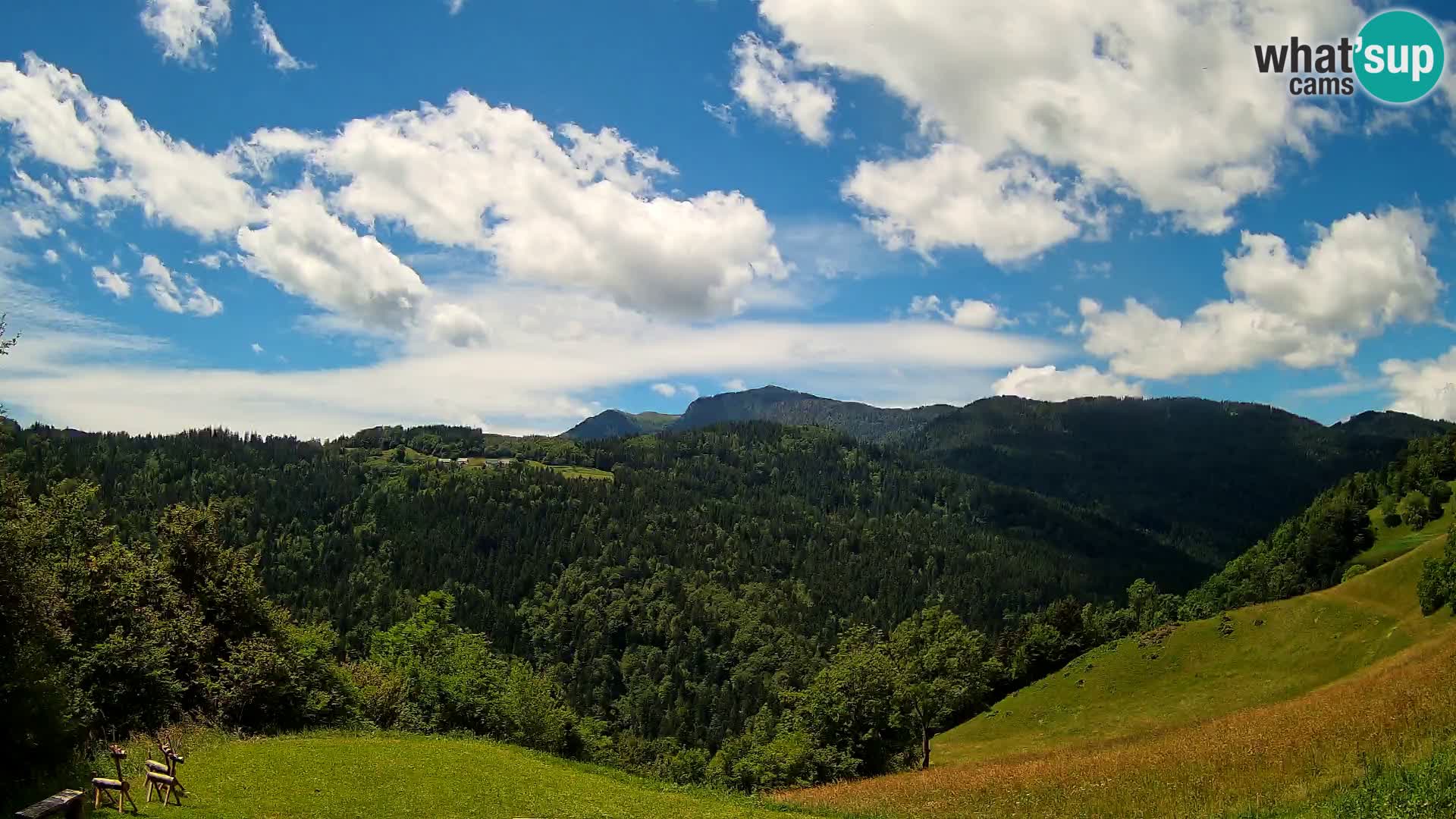 Webcam Brunarica Dražgoše – Live View of Ratitovec (1666 m)