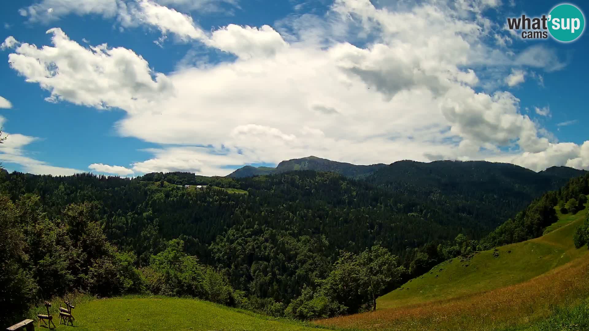 Webcam Brunarica Dražgoše – Live View of Ratitovec (1666 m)