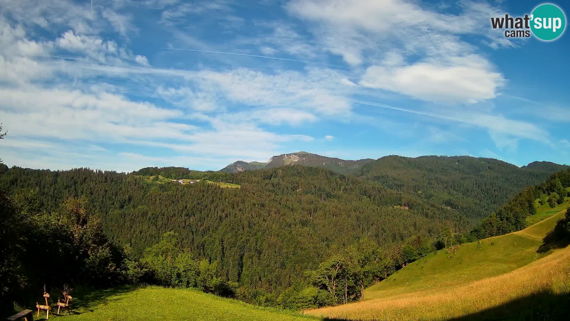 Webcam Brunarica Dražgoše – Live View of Ratitovec (1666 m)