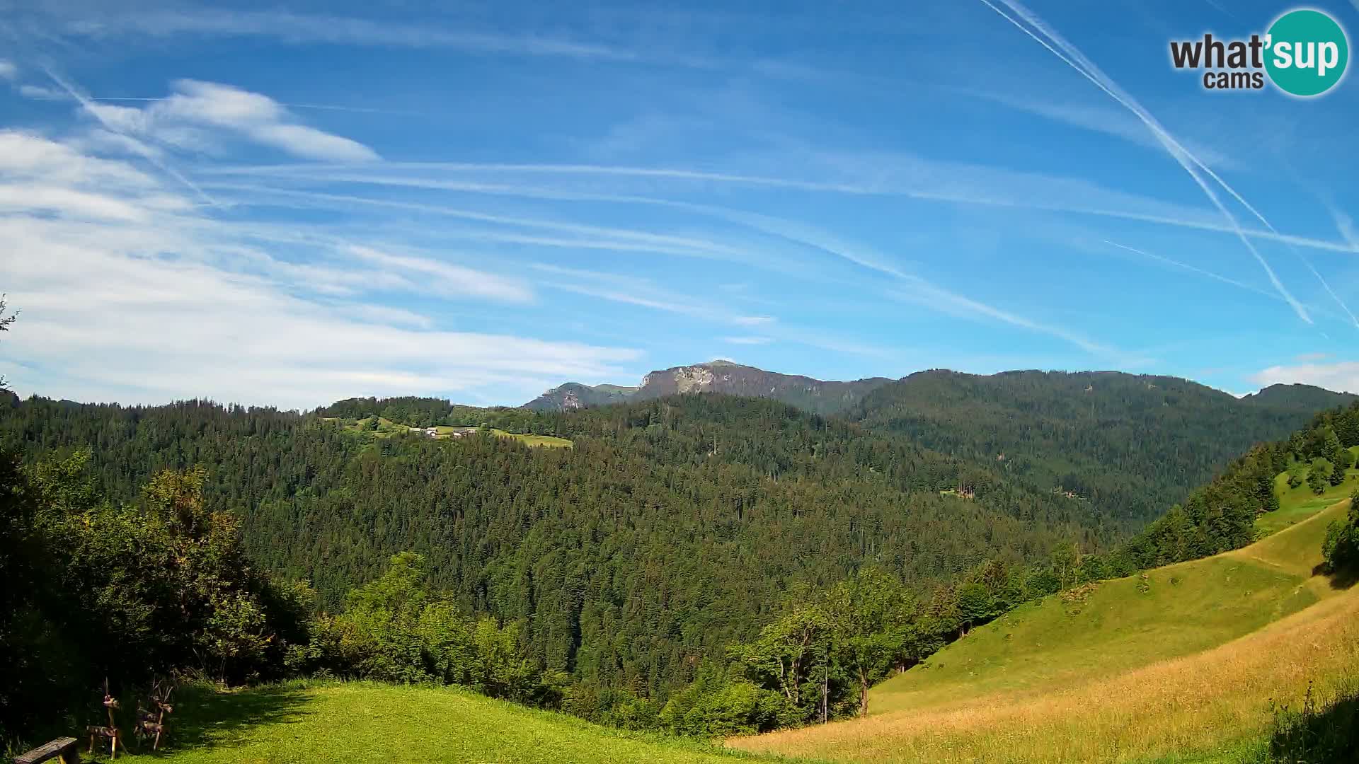 Webcam Brunarica Dražgoše – Live View of Ratitovec (1666 m)
