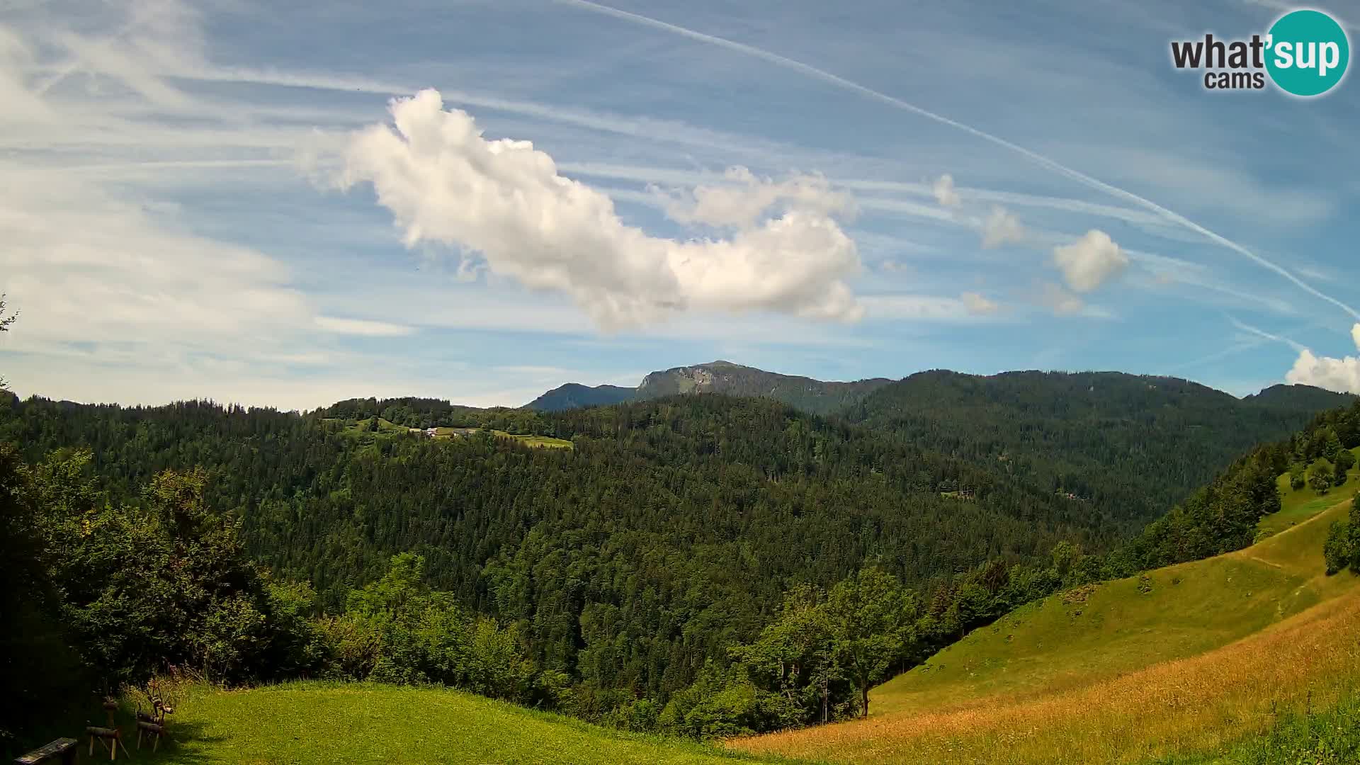 Spletna kamera Brunarica Dražgoše – Pogled v živo na Ratitovec (1666 m)