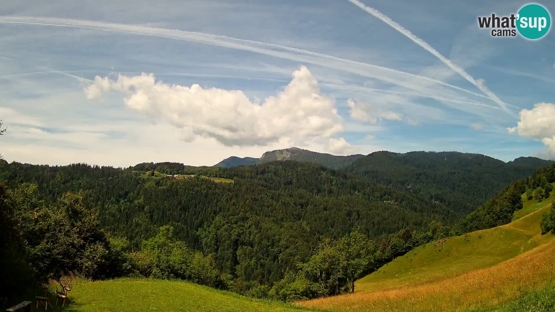 Webcam Brunarica Dražgoše – Live View of Ratitovec (1666 m)