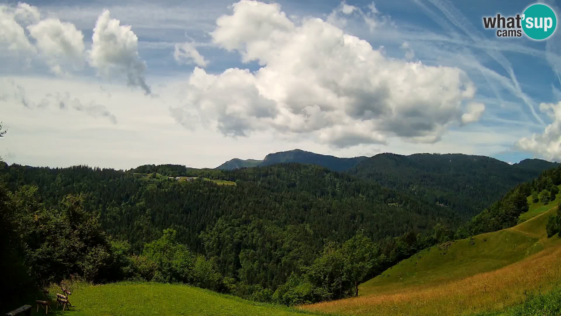 Webcam Brunarica Dražgoše – Live View of Ratitovec (1666 m)