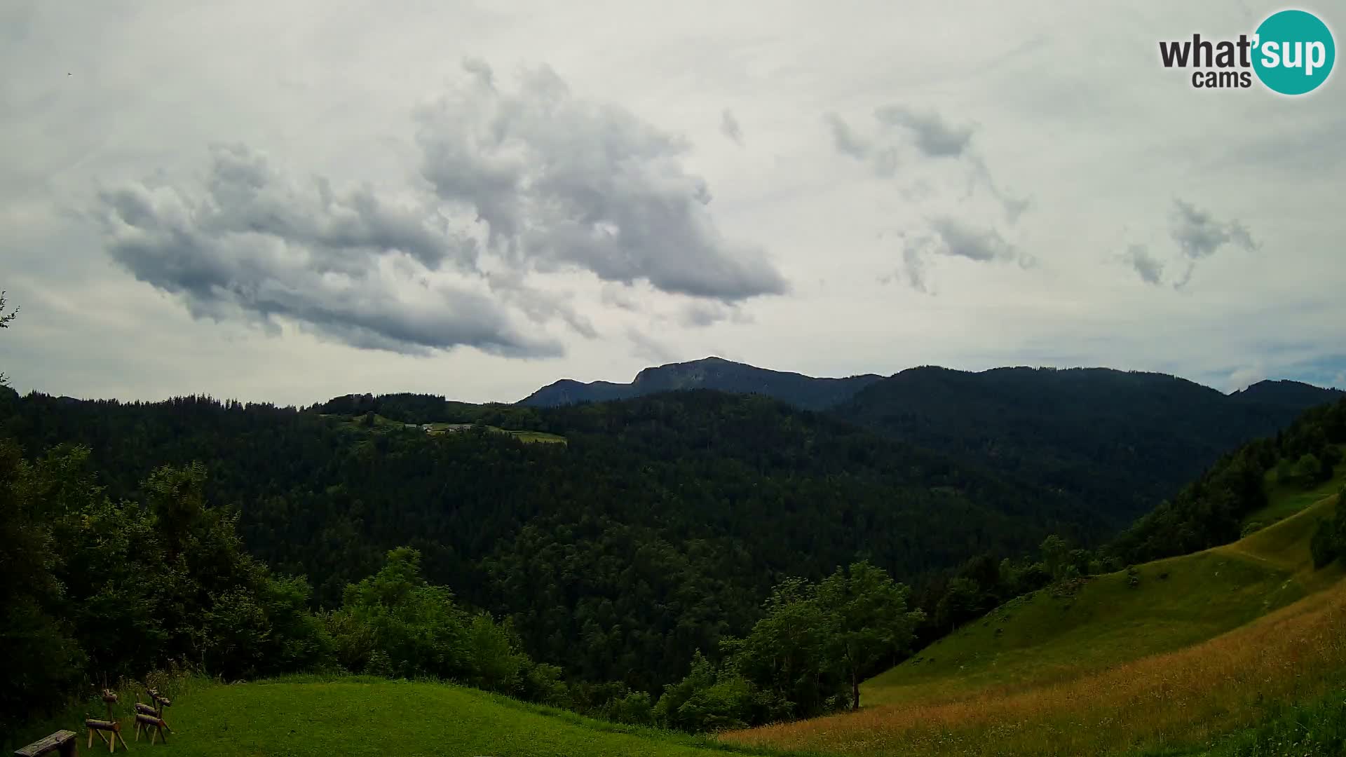 Webcam Brunarica Dražgoše – Live View of Ratitovec (1666 m)