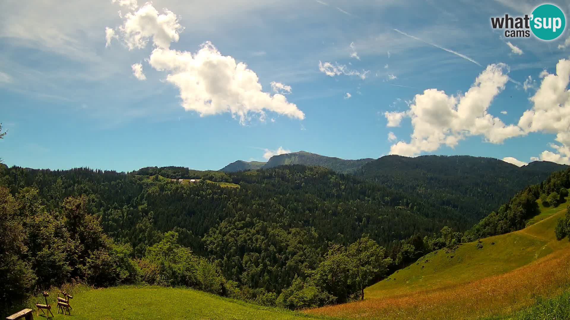 Webcam Brunarica Dražgoše – Live View of Ratitovec (1666 m)