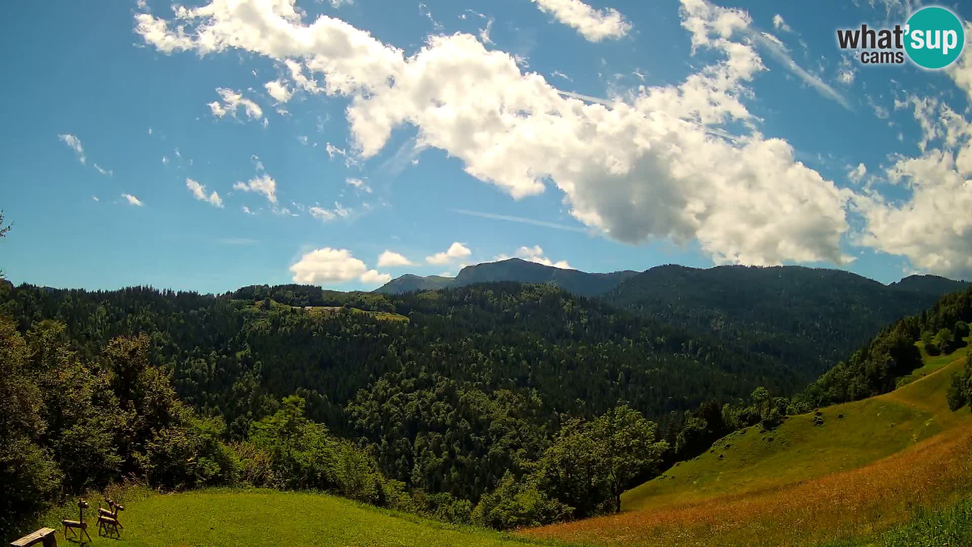Webcam Brunarica Dražgoše – Vista live sul Ratitovec (1666 m)