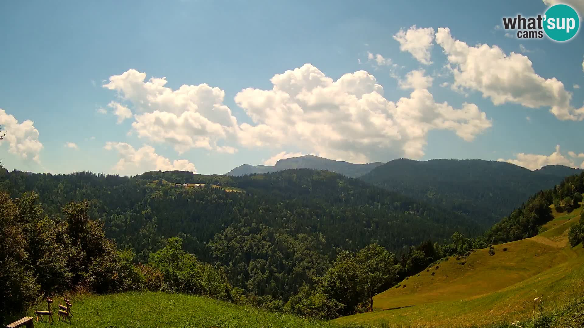 Webcam Brunarica Dražgoše – Live View of Ratitovec (1666 m)