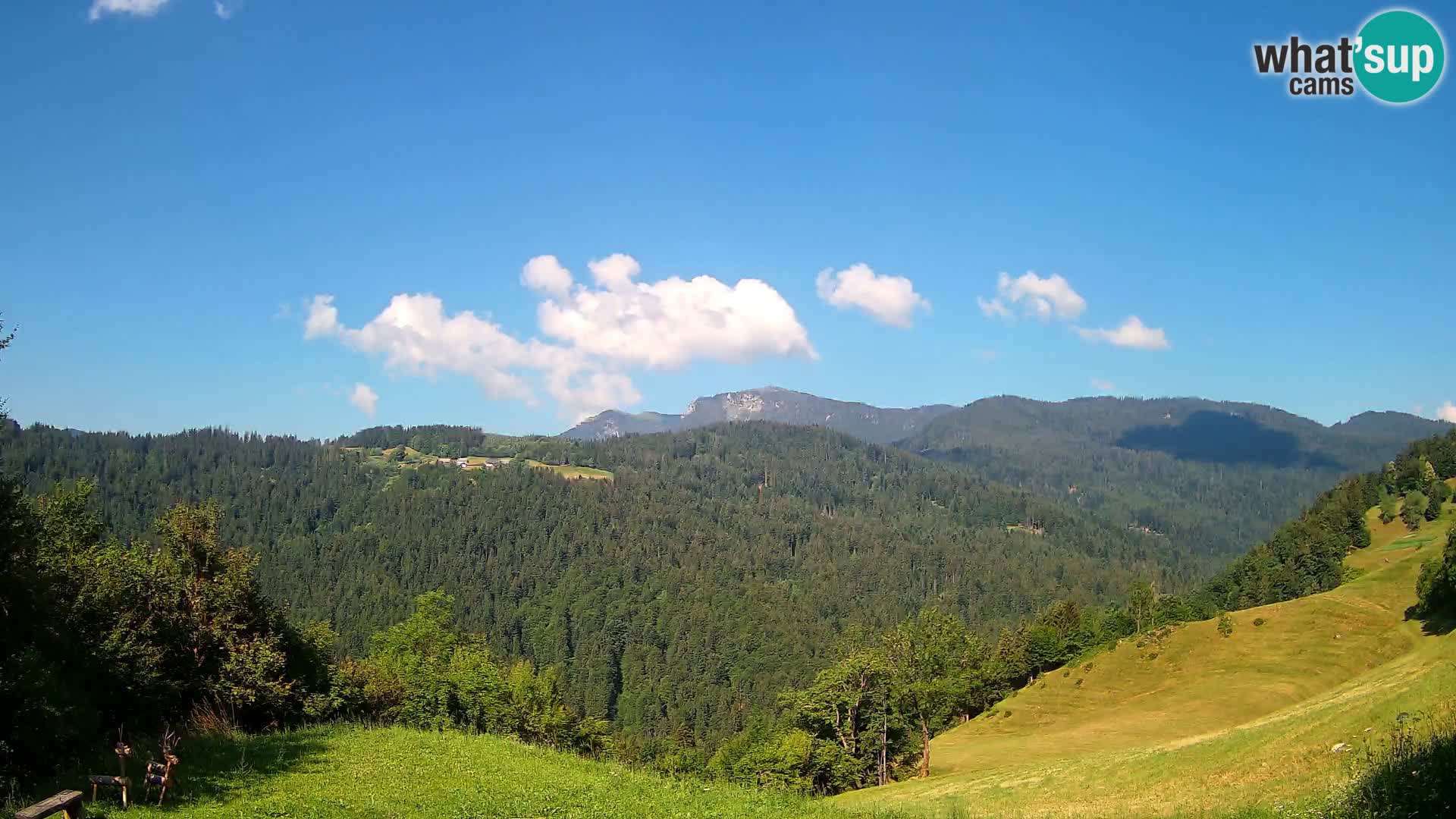 Webcam Brunarica Dražgoše – Live View of Ratitovec (1666 m)