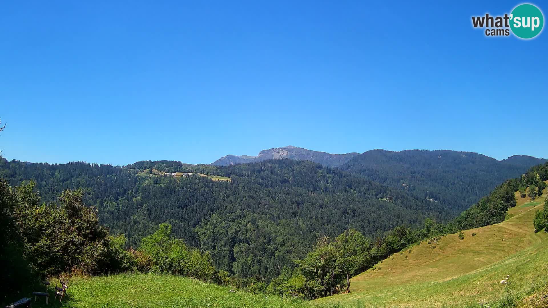 Webcam Brunarica Dražgoše – Live View of Ratitovec (1666 m)