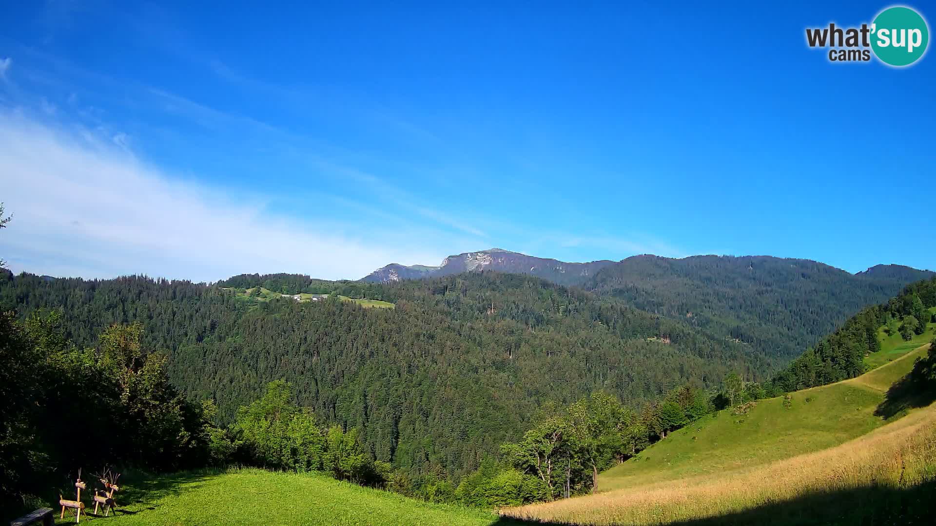 Webcam Brunarica Dražgoše – Live View of Ratitovec (1666 m)