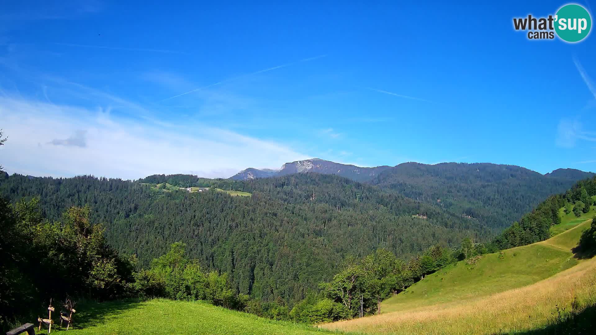 Webcam Brunarica Dražgoše – Live View of Ratitovec (1666 m)