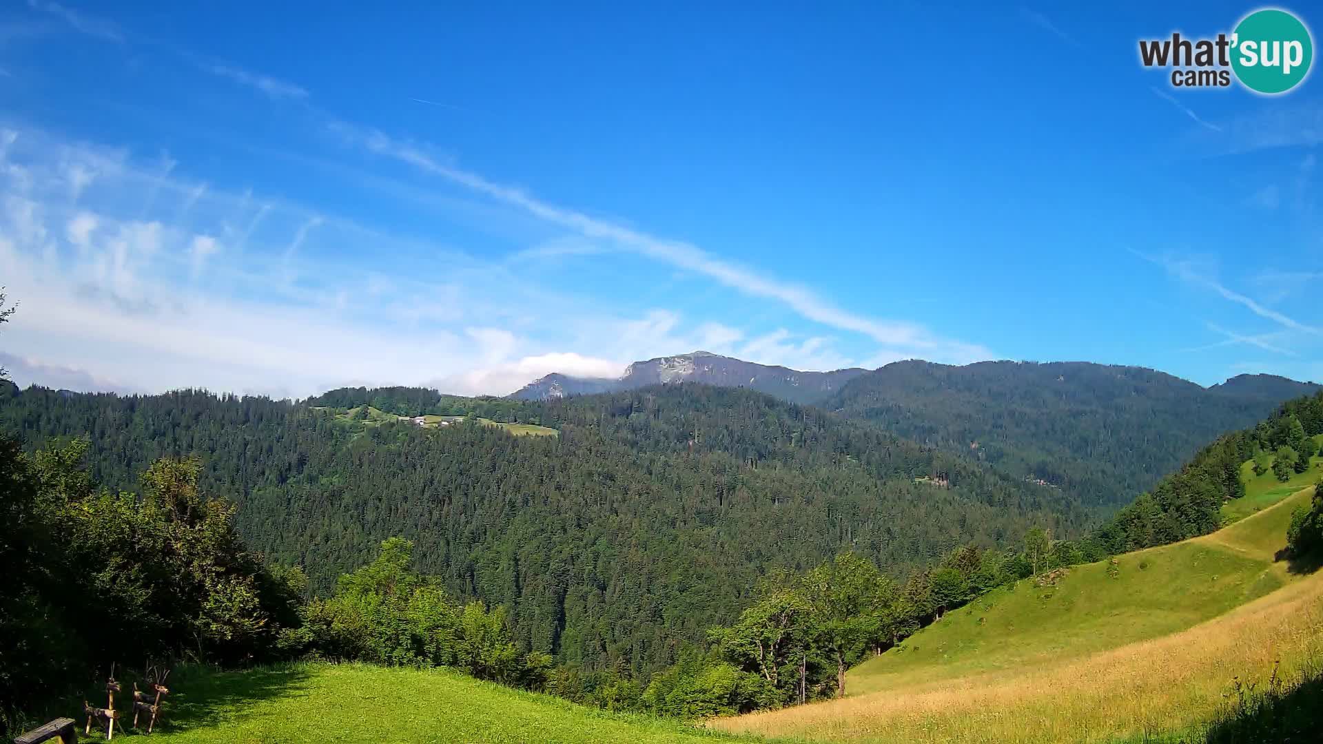 Webcam Brunarica Dražgoše – Live View of Ratitovec (1666 m)