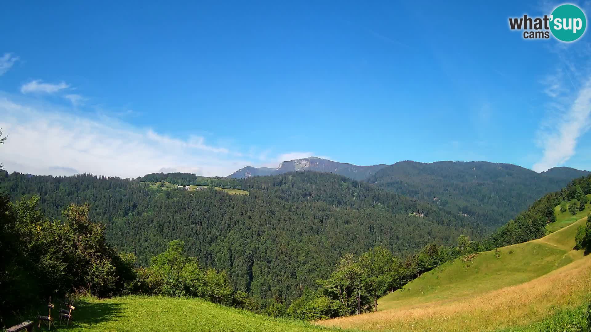 Webcam Brunarica Dražgoše – Live View of Ratitovec (1666 m)