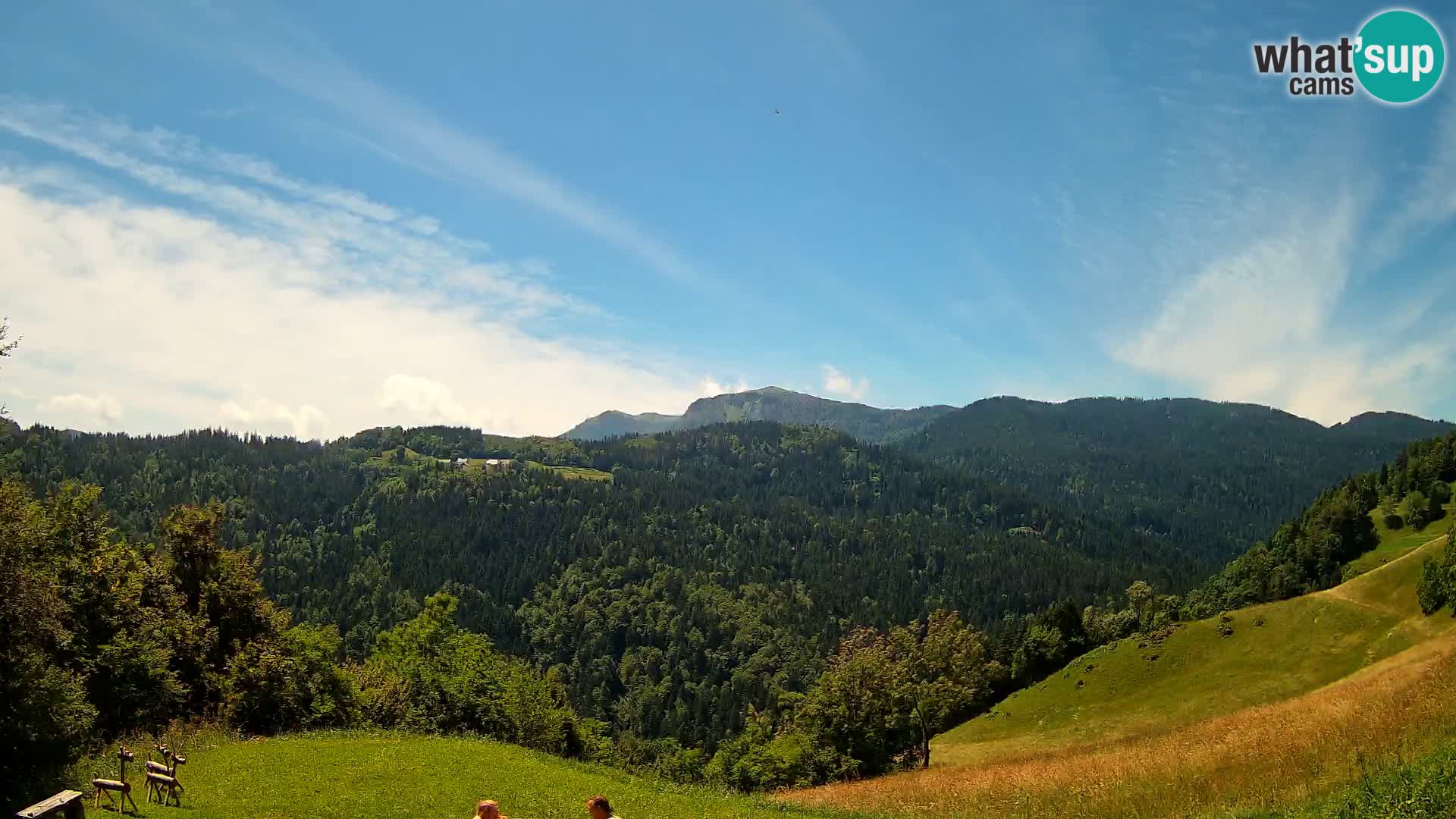 Webcam Brunarica Dražgoše – Live View of Ratitovec (1666 m)