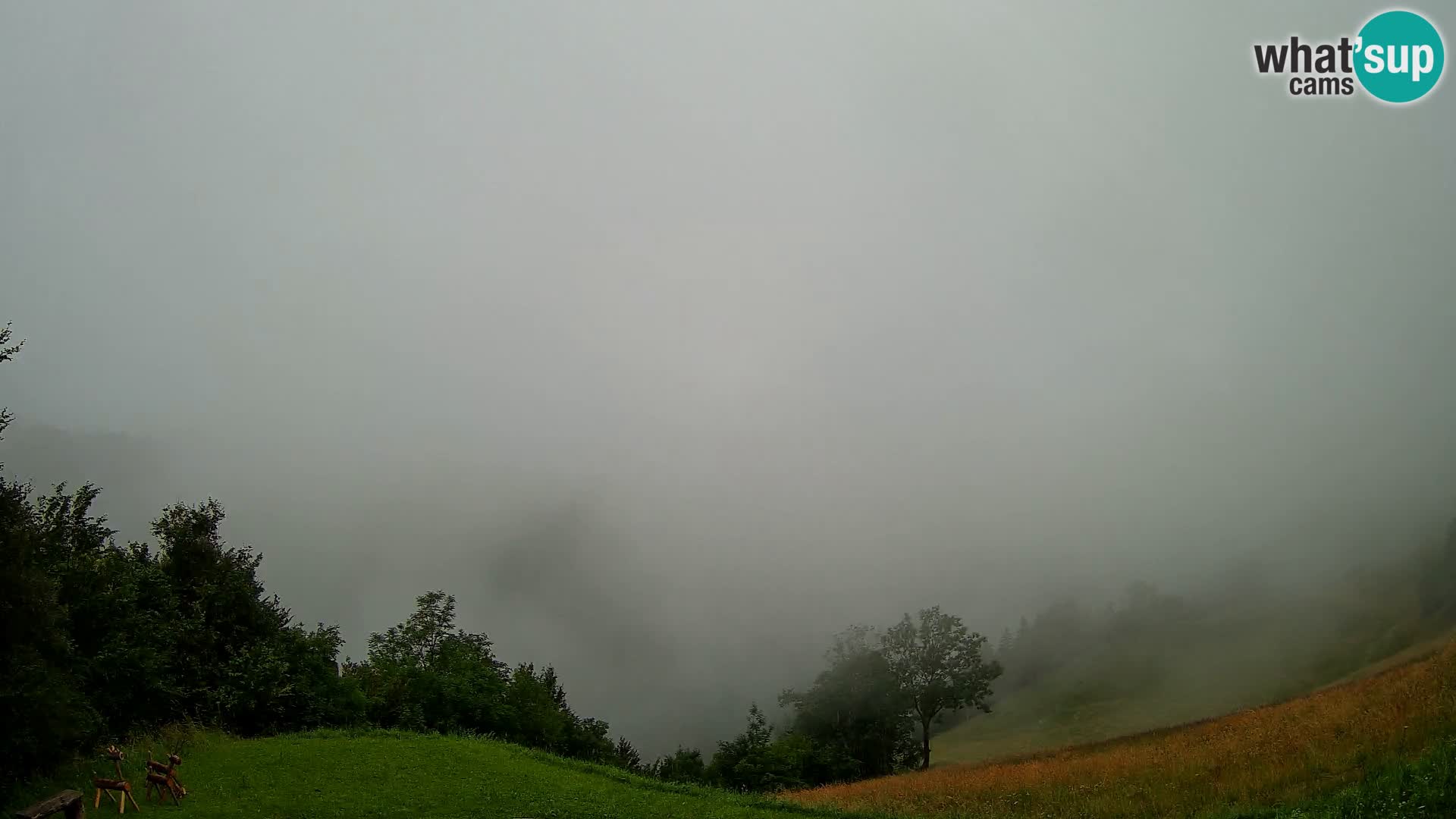 Webcam Brunarica Dražgoše – Live View of Ratitovec (1666 m)
