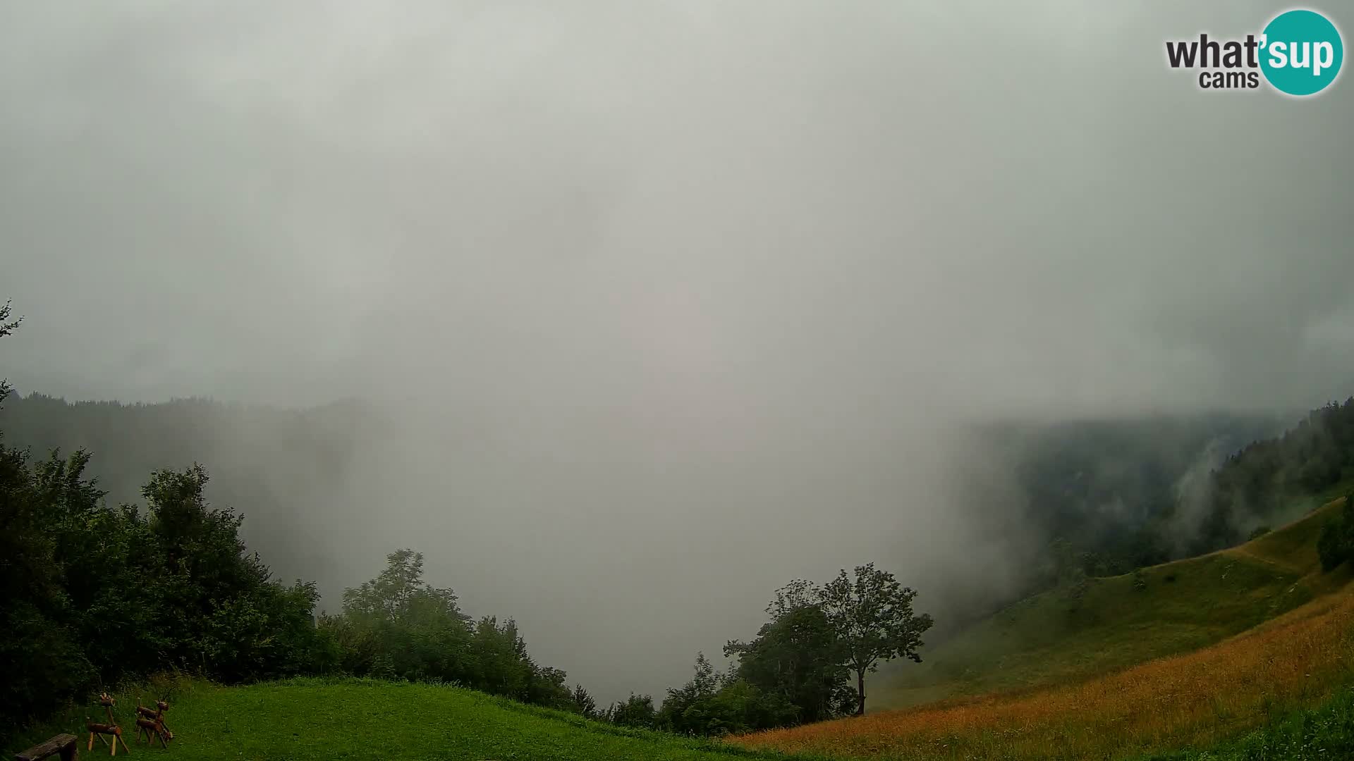 Webcam Brunarica Dražgoše – Live View of Ratitovec (1666 m)