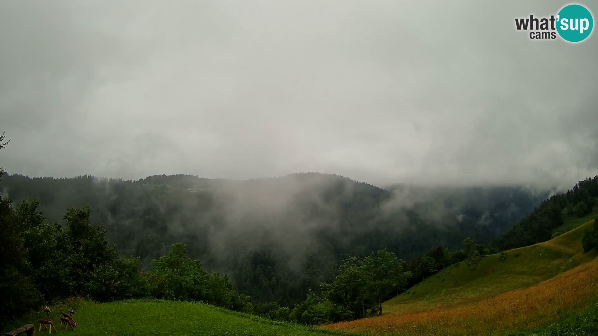 Webcam Brunarica Dražgoše – Live View of Ratitovec (1666 m)