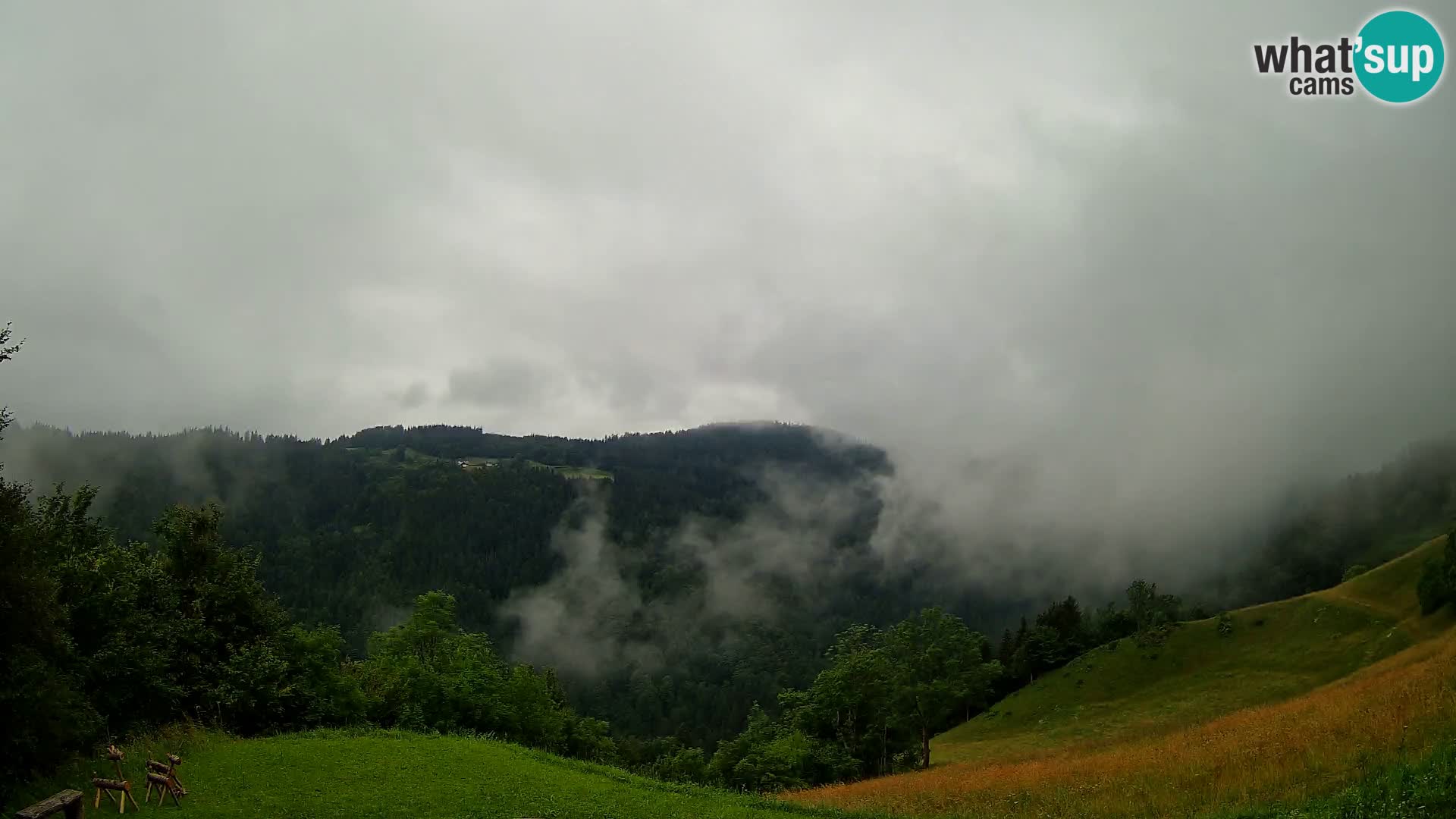 Webcam Brunarica Dražgoše – Live View of Ratitovec (1666 m)