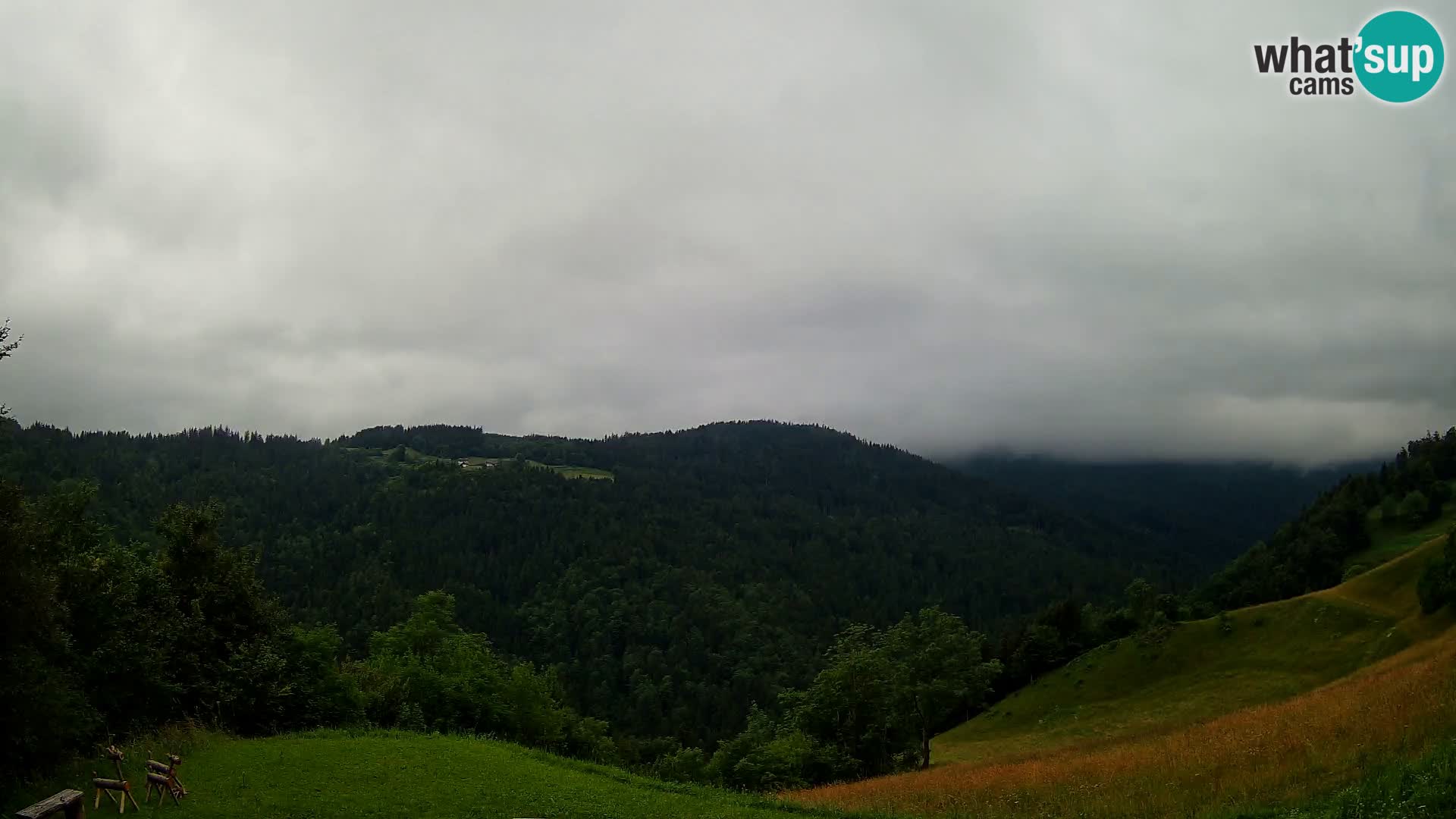 Webcam Brunarica Dražgoše – Live View of Ratitovec (1666 m)