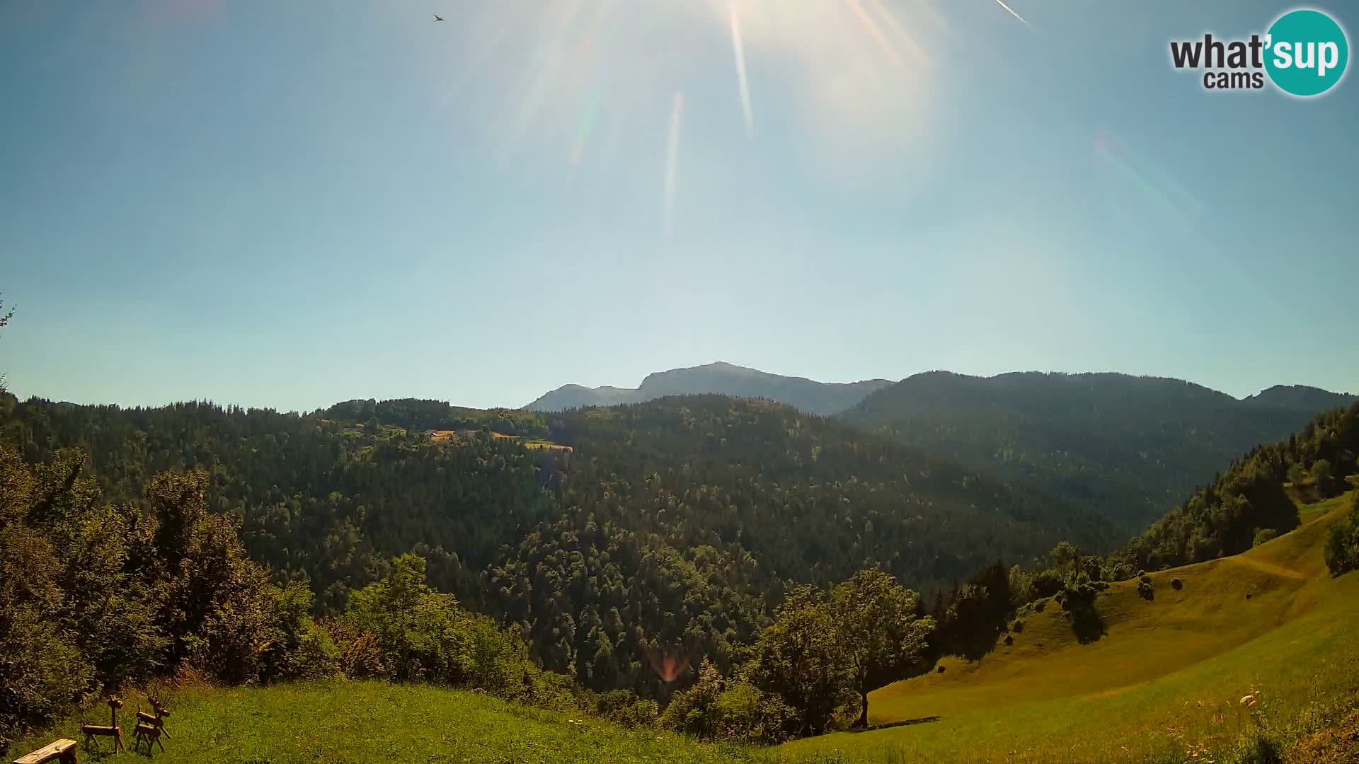 Webcam Brunarica Dražgoše – Live View of Ratitovec (1666 m)