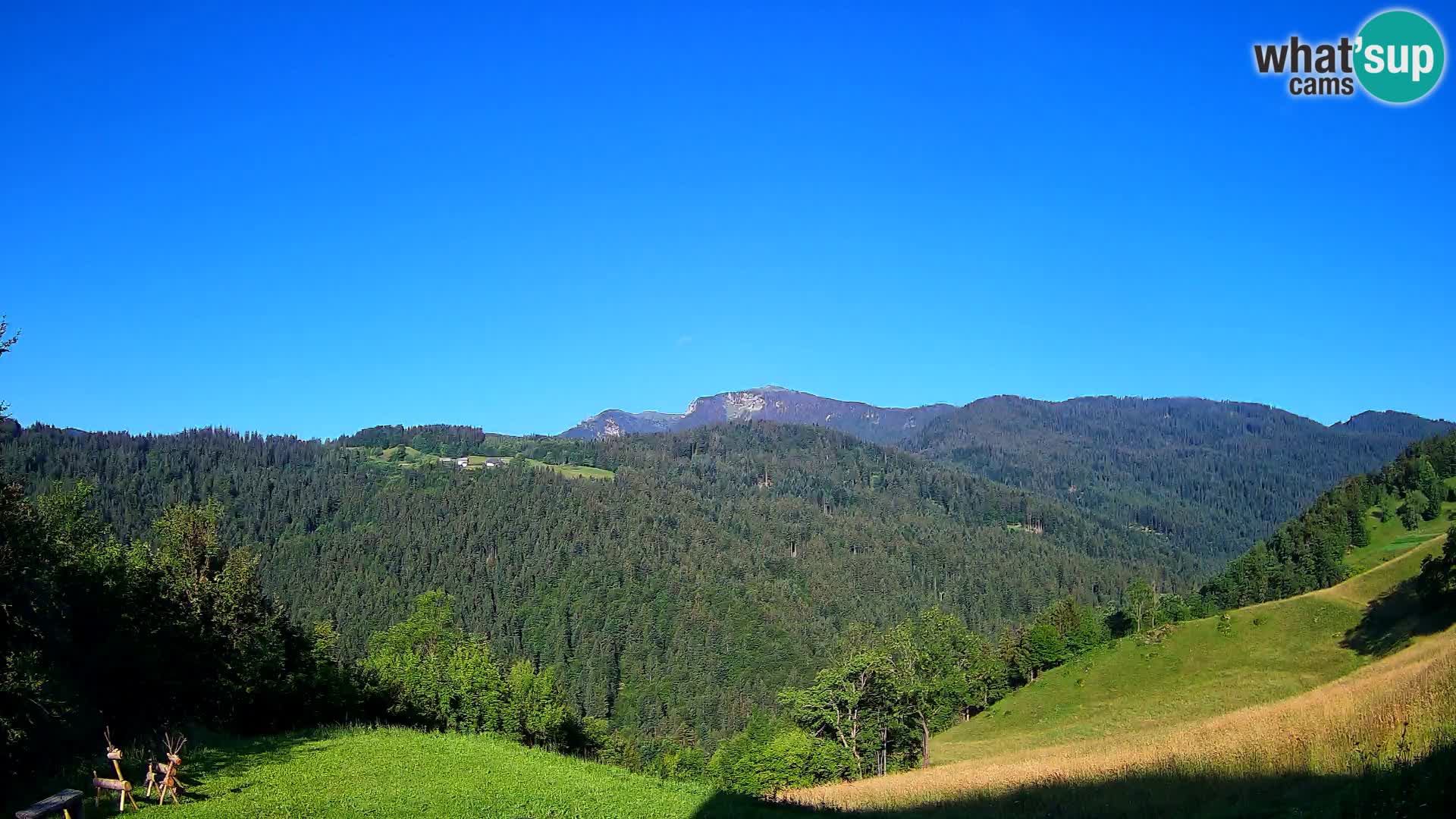 Webcam Brunarica Dražgoše – Live View of Ratitovec (1666 m)