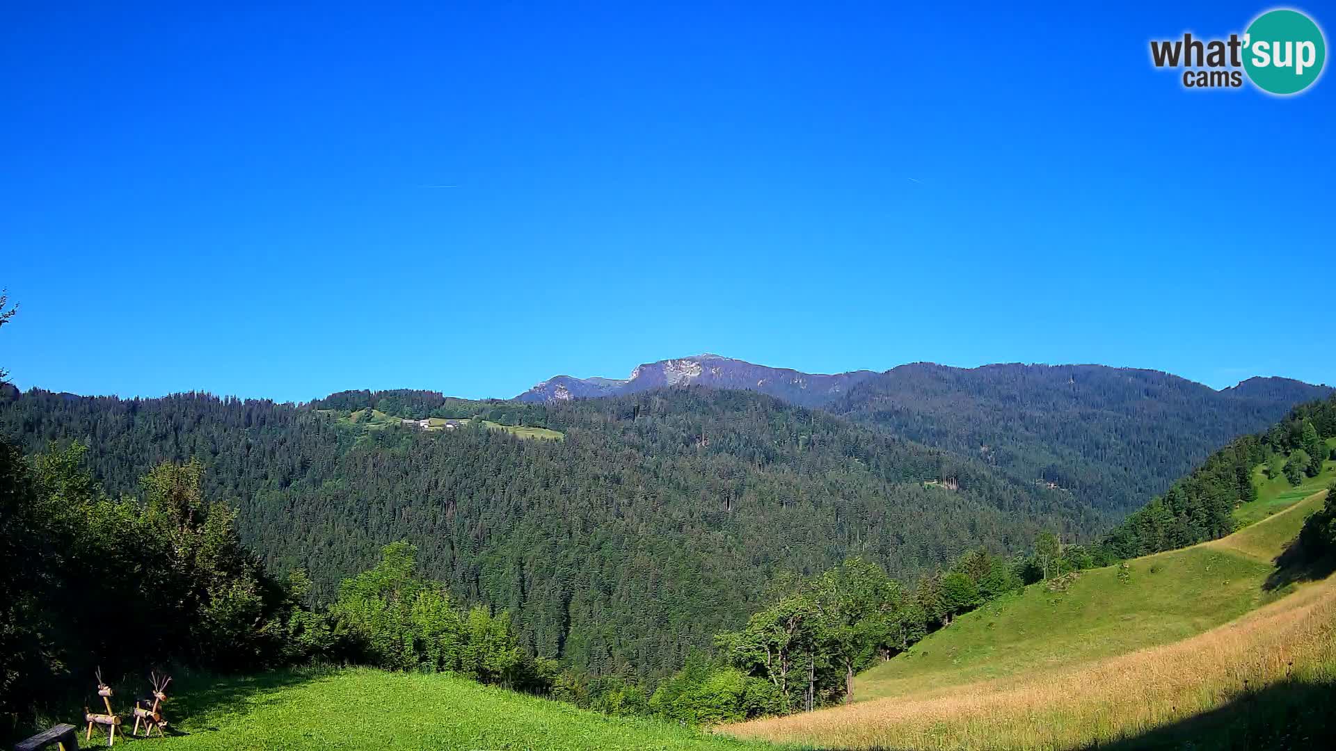 Webcam Brunarica Dražgoše – Live View of Ratitovec (1666 m)