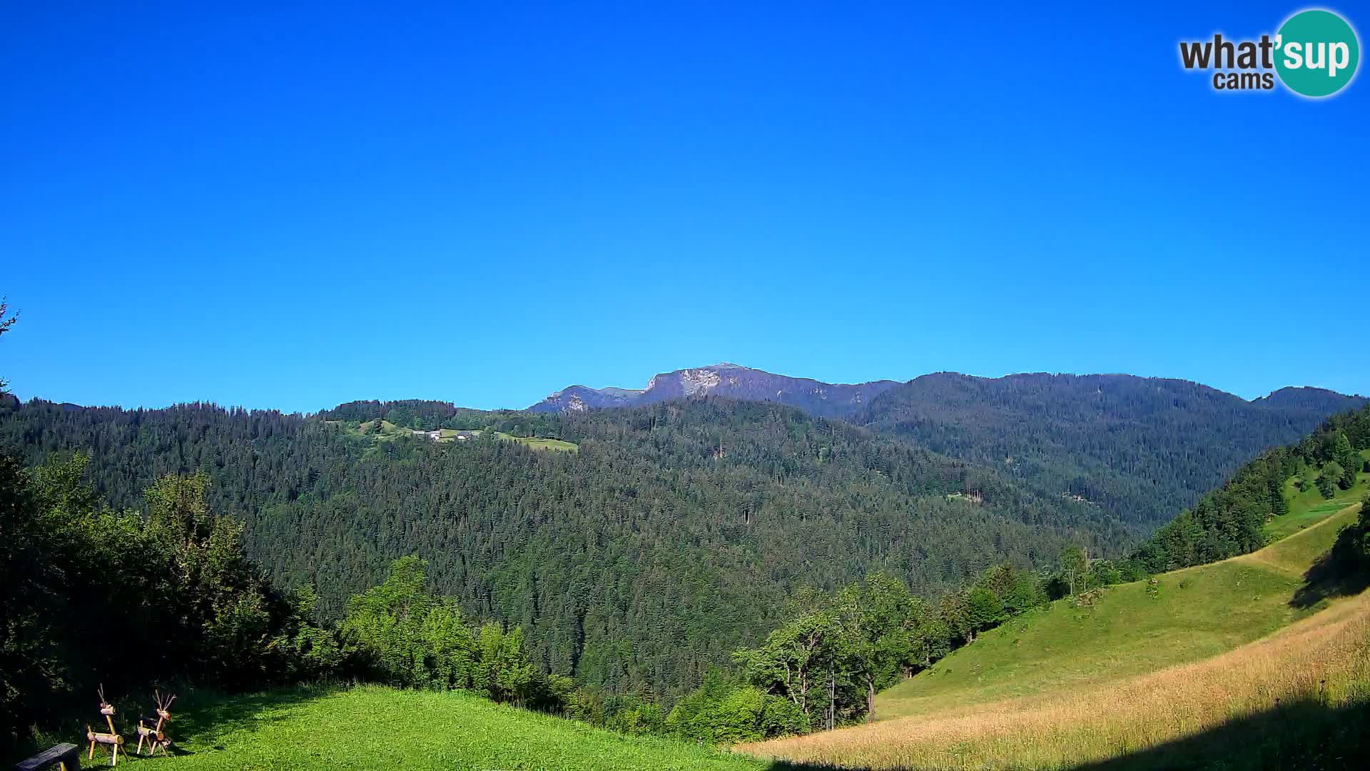 Webcam Brunarica Dražgoše – Live View of Ratitovec (1666 m)