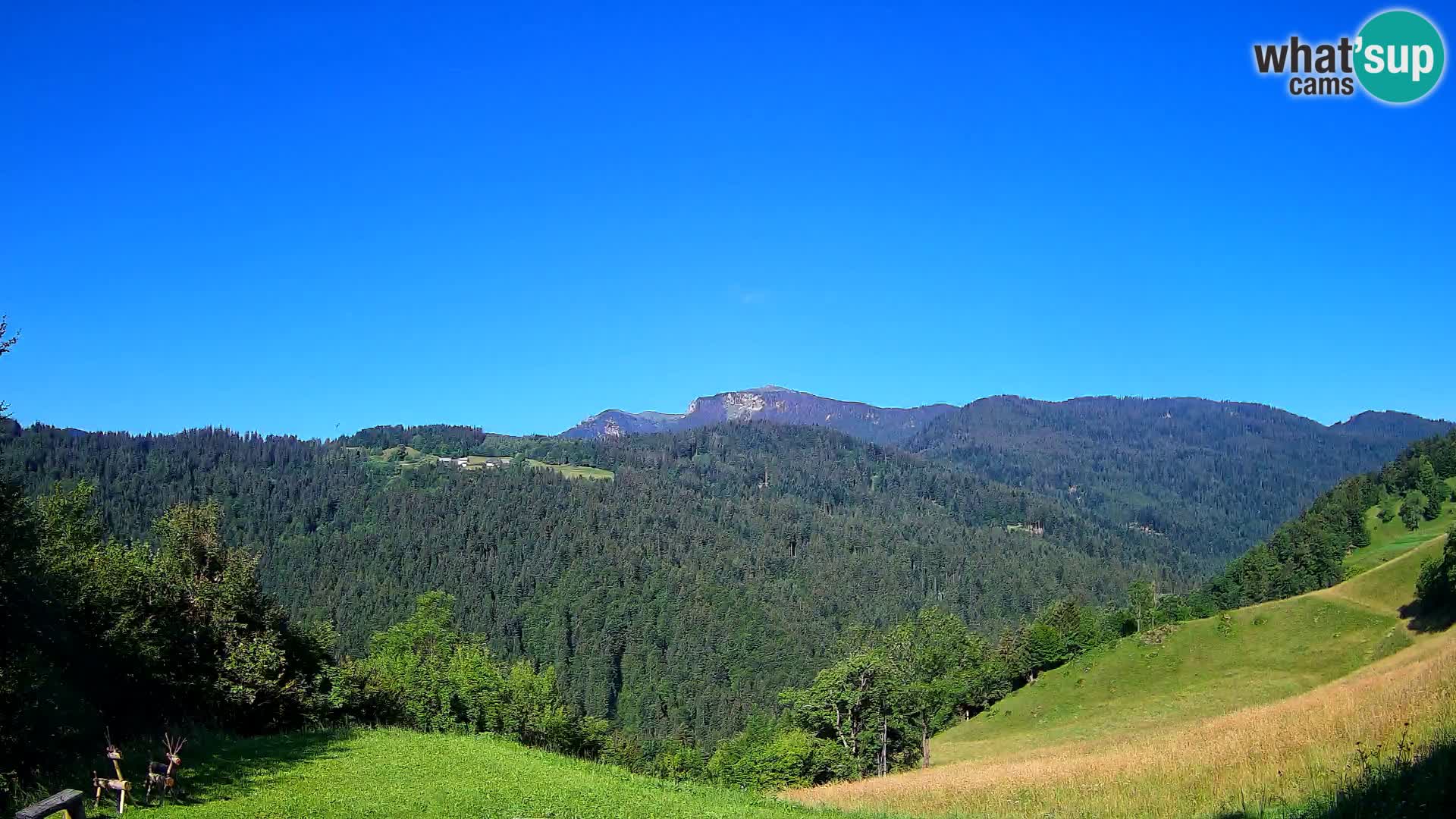 Webcam Brunarica Dražgoše – Vista live sul Ratitovec (1666 m)