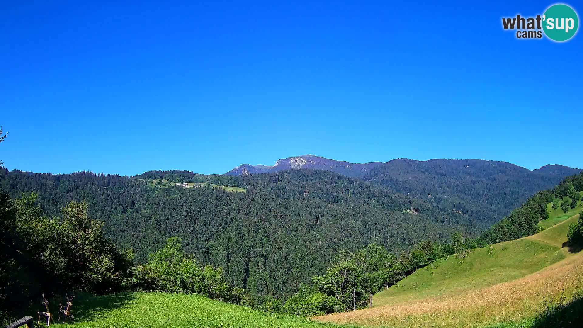 Webcam Brunarica Dražgoše – Live View of Ratitovec (1666 m)