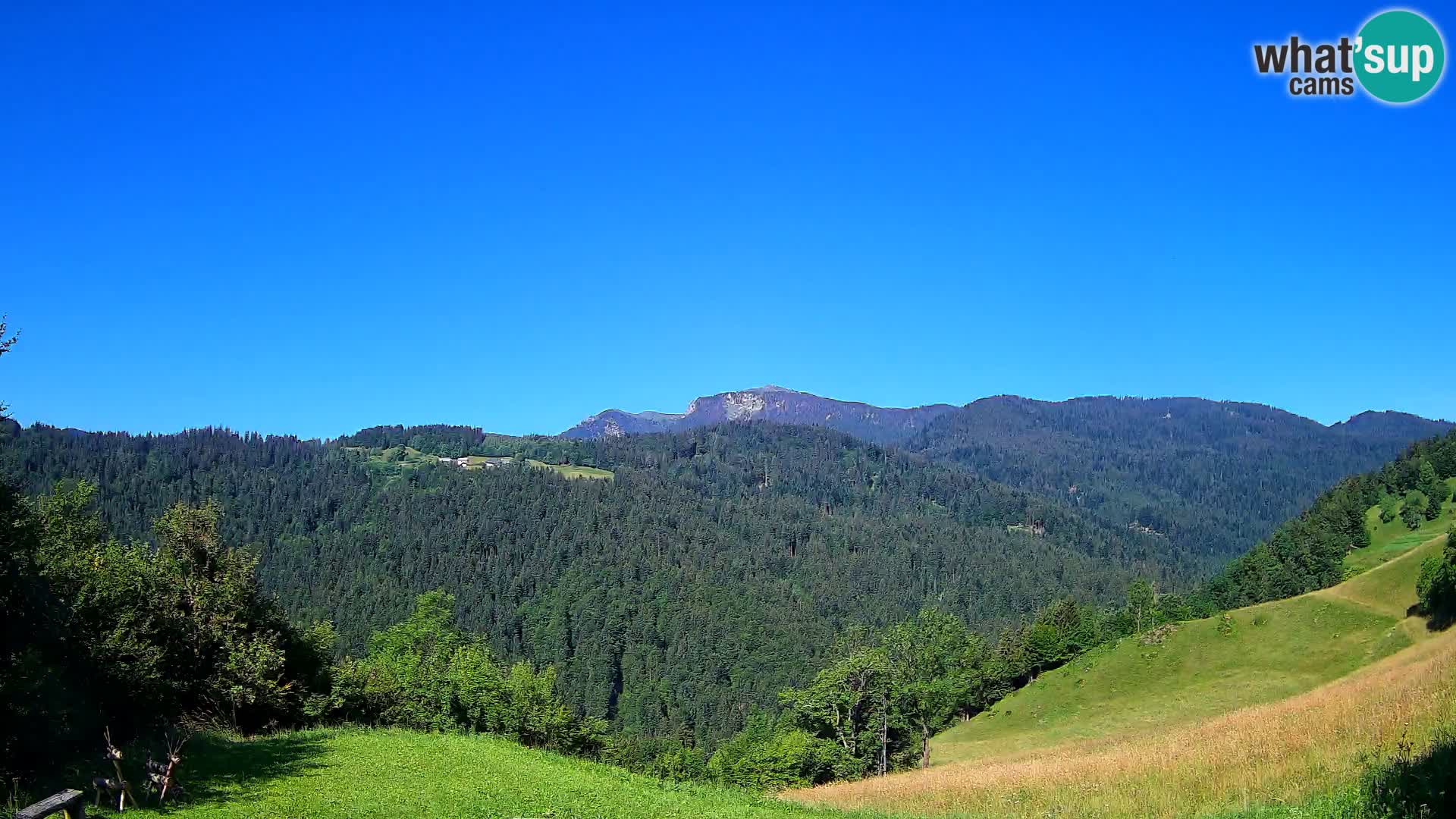 Webcam Brunarica Dražgoše – Live View of Ratitovec (1666 m)