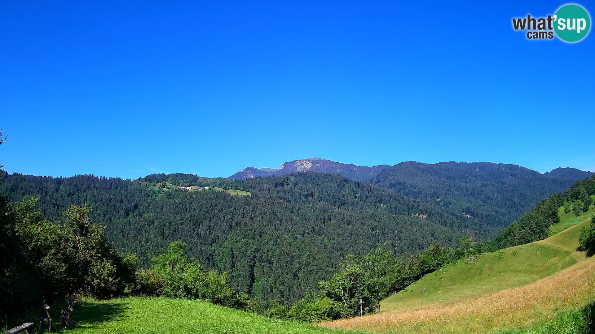 Webcam Brunarica Dražgoše – Vista live sul Ratitovec (1666 m)