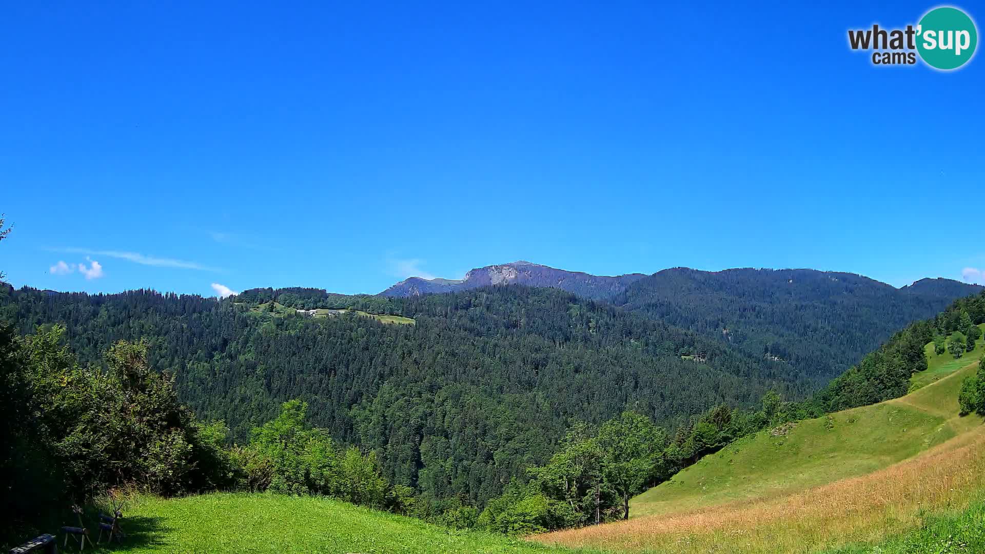 Webcam Brunarica Dražgoše – Live View of Ratitovec (1666 m)