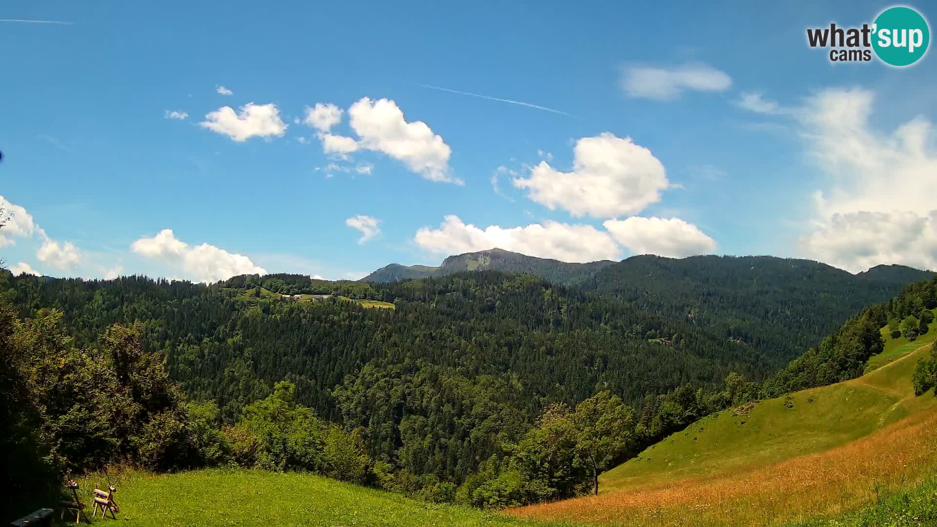 Webcam Brunarica Dražgoše – Live View of Ratitovec (1666 m)