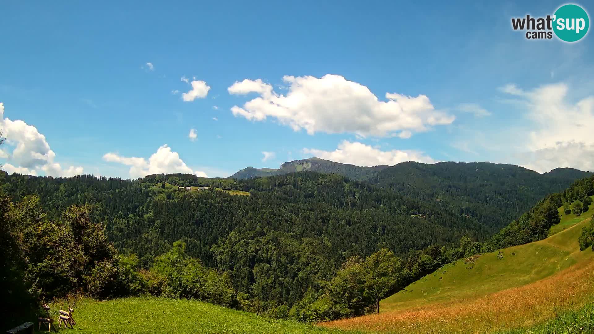 Webcam Brunarica Dražgoše – Live View of Ratitovec (1666 m)