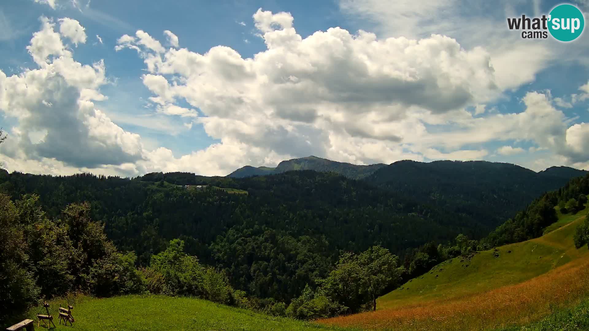 Webcam Brunarica Dražgoše – Live View of Ratitovec (1666 m)