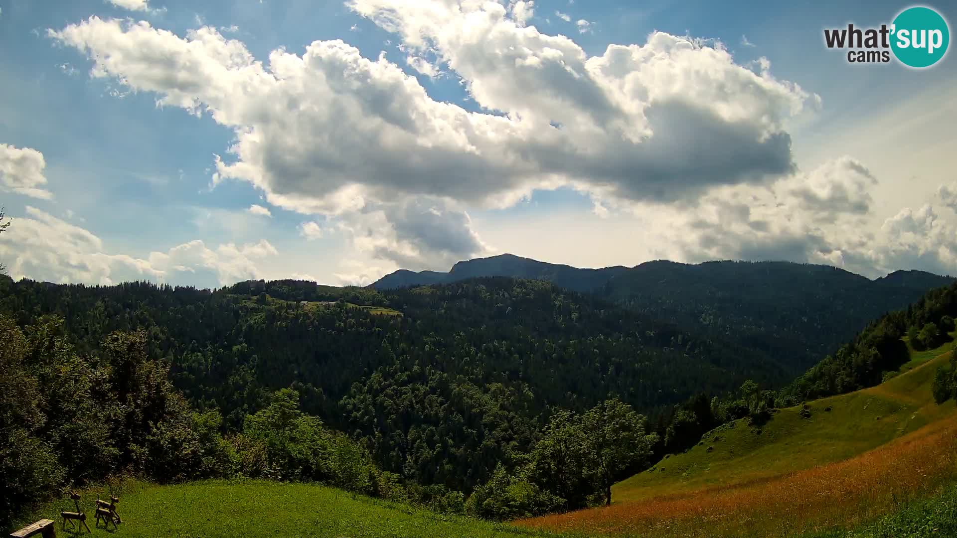 Webcam Brunarica Dražgoše – Live View of Ratitovec (1666 m)