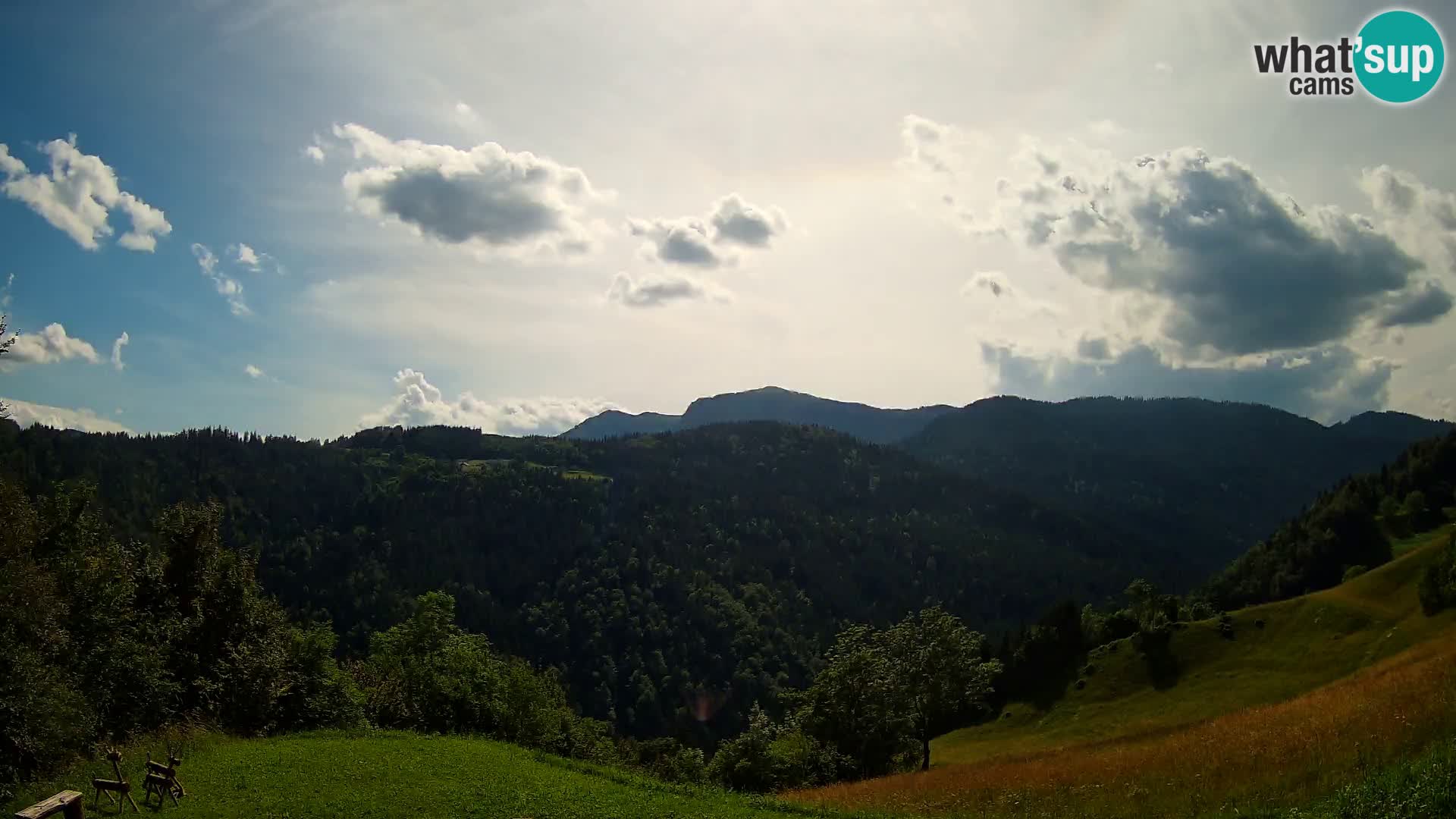 Webcam Brunarica Dražgoše – Live View of Ratitovec (1666 m)