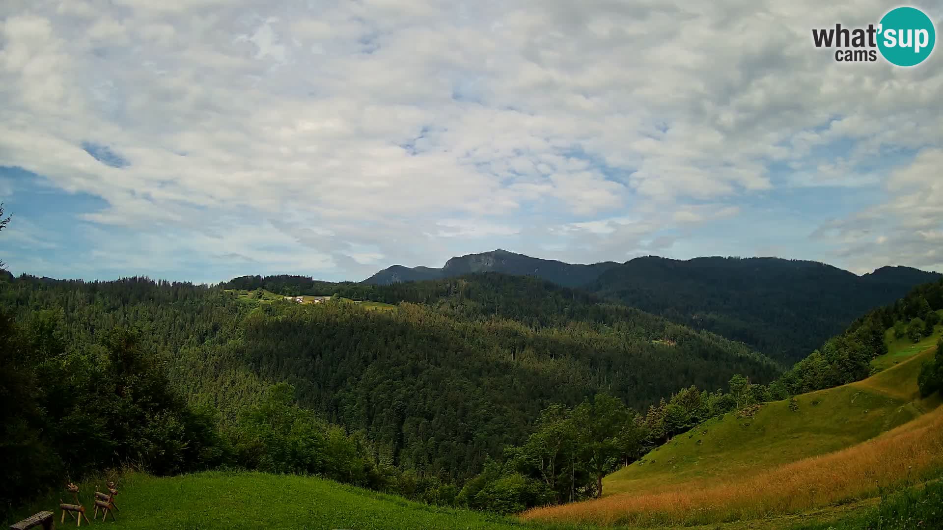 Webcam Brunarica Dražgoše – Live View of Ratitovec (1666 m)