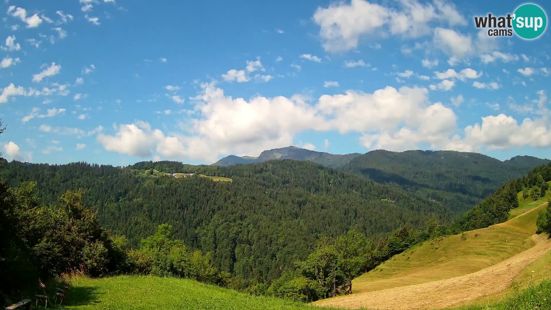 Web kamera Brunarica Dražgoše – Pogled uživo na Ratitovec (1666 m)