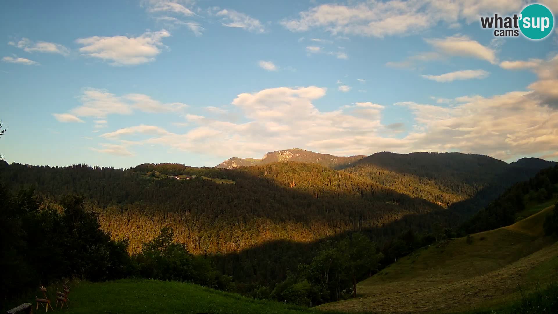 Webcam Brunarica Dražgoše – Live View of Ratitovec (1666 m)